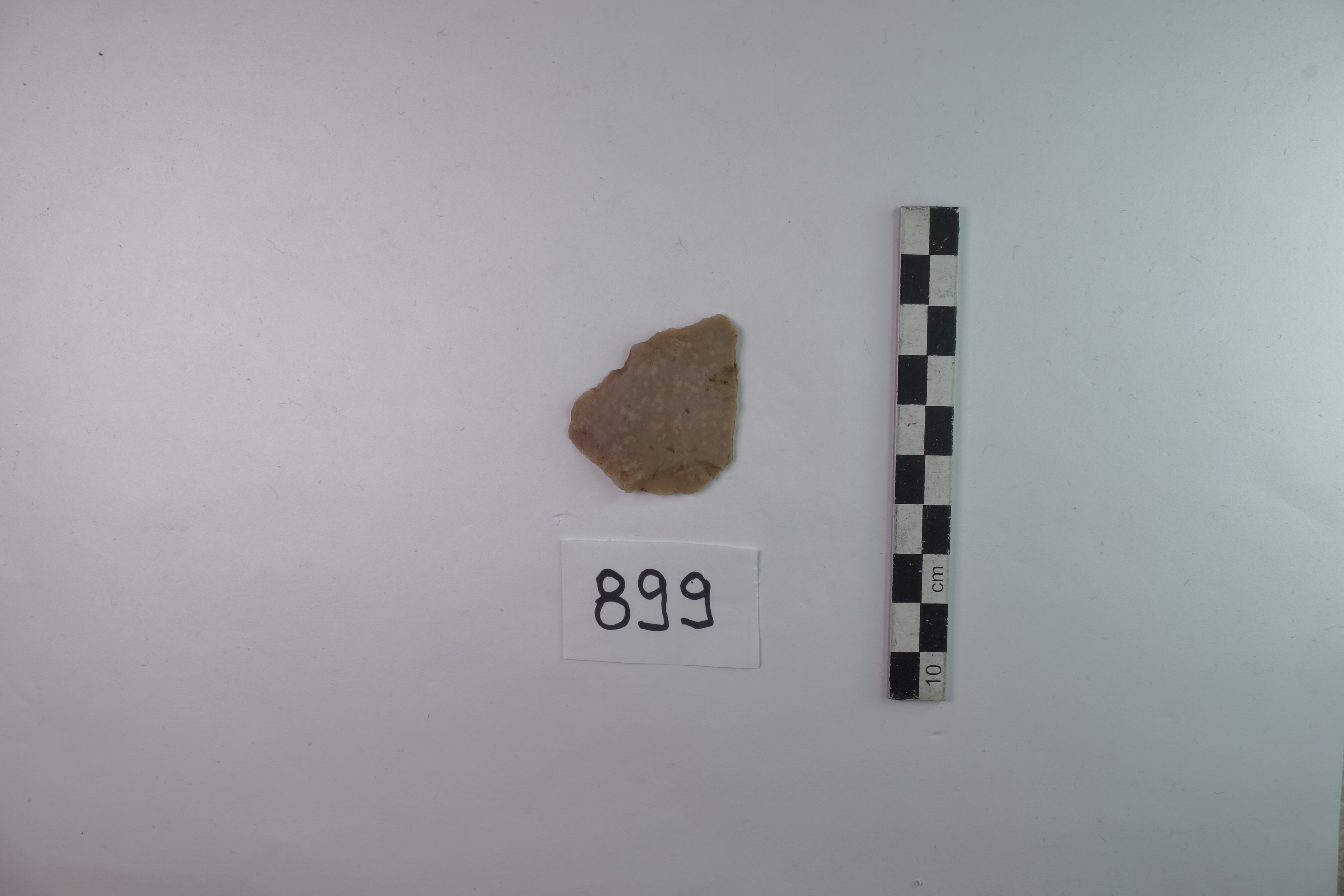 SINGOLO OGGETTO/ Denticolato, PERIODIZZAZIONI/ PREISTORIA/ Predinastico