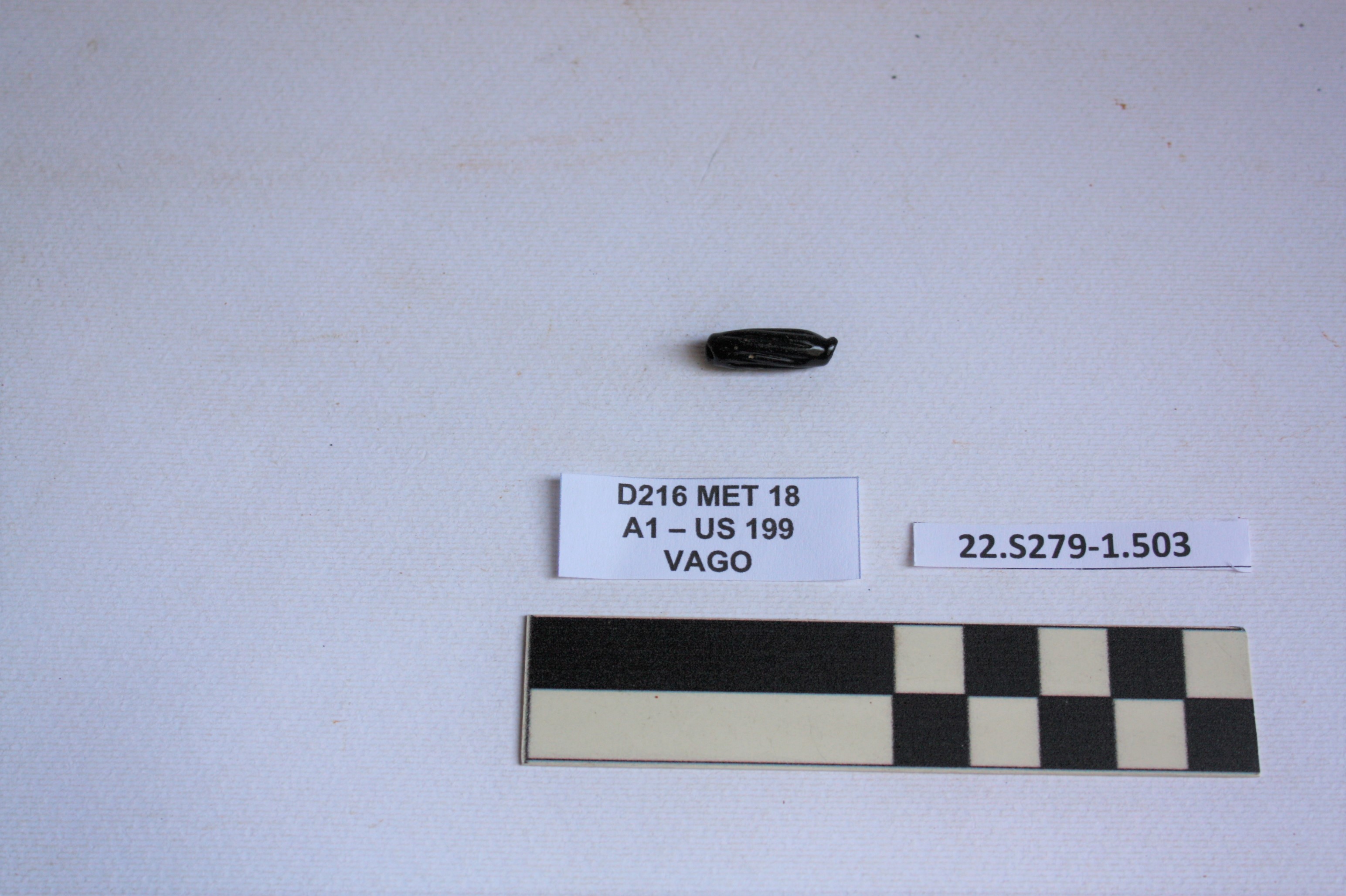 SINGOLO OGGETTO/ vago, PERIODIZZAZIONI/ STORIA/ Età antica/ Età romana