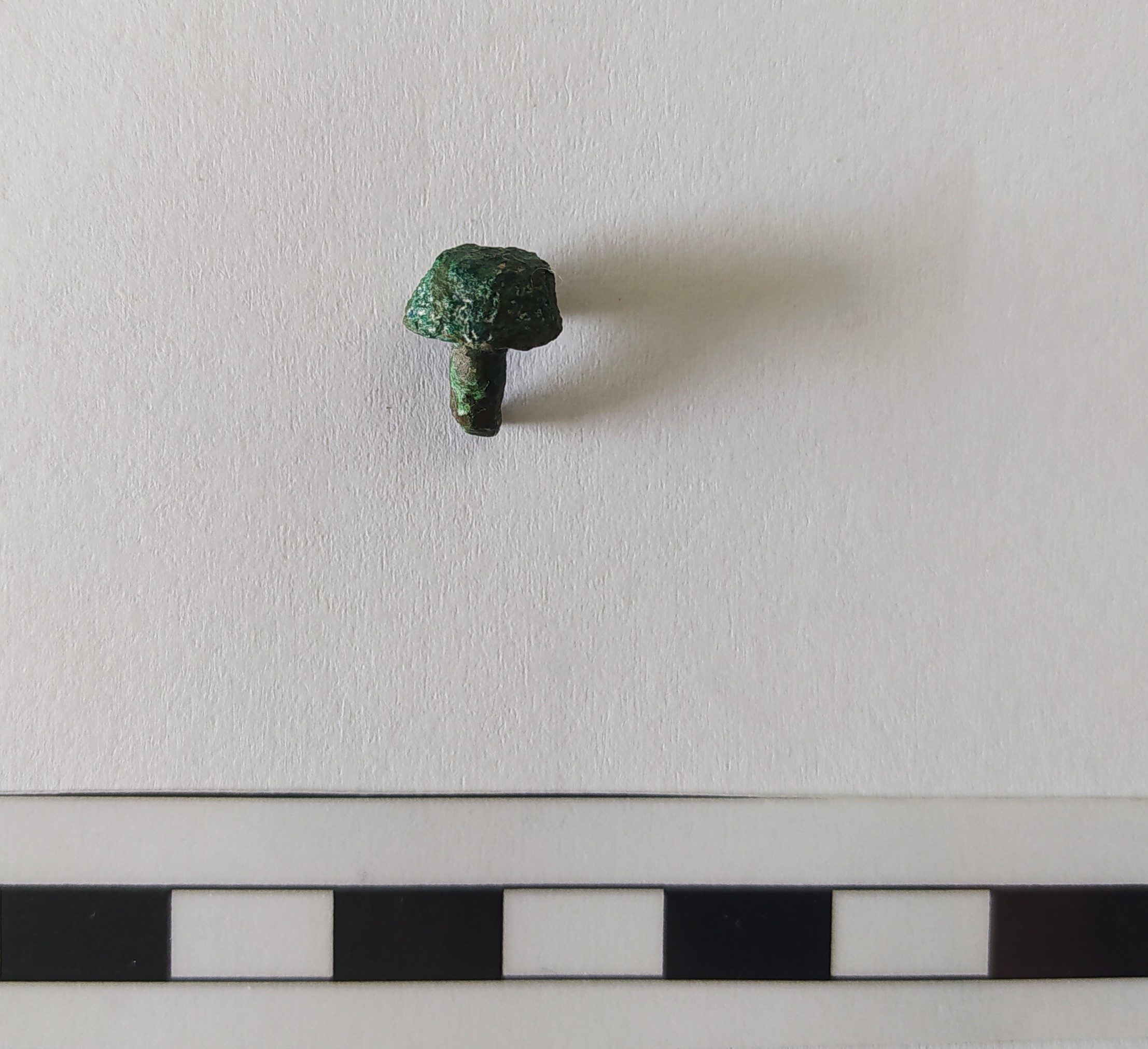 SINGOLO OGGETTO/ borchia, Alto Medioevo