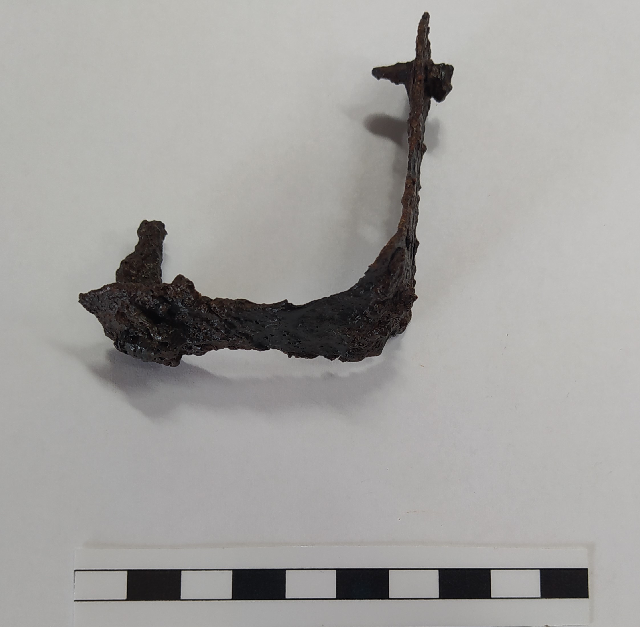 SINGOLO OGGETTO/ grappa, Alto Medioevo