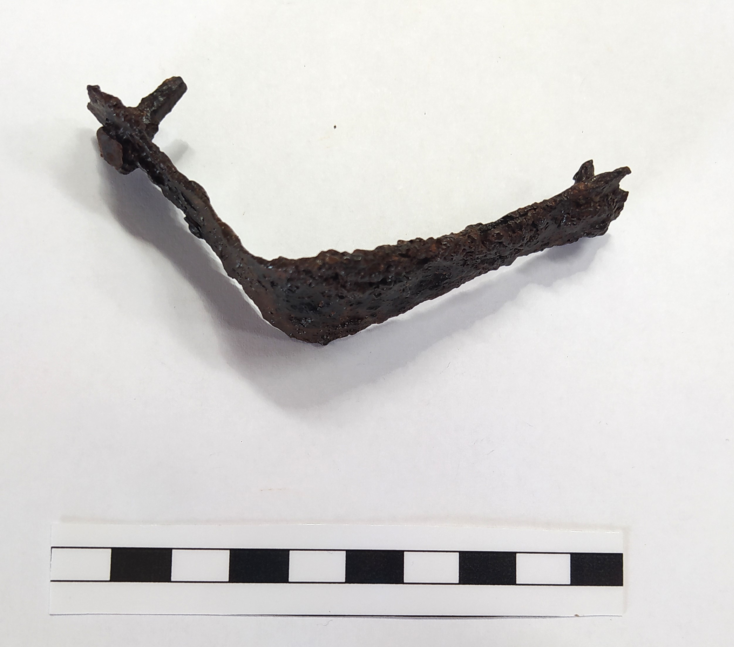 SINGOLO OGGETTO/ grappa, Alto Medioevo