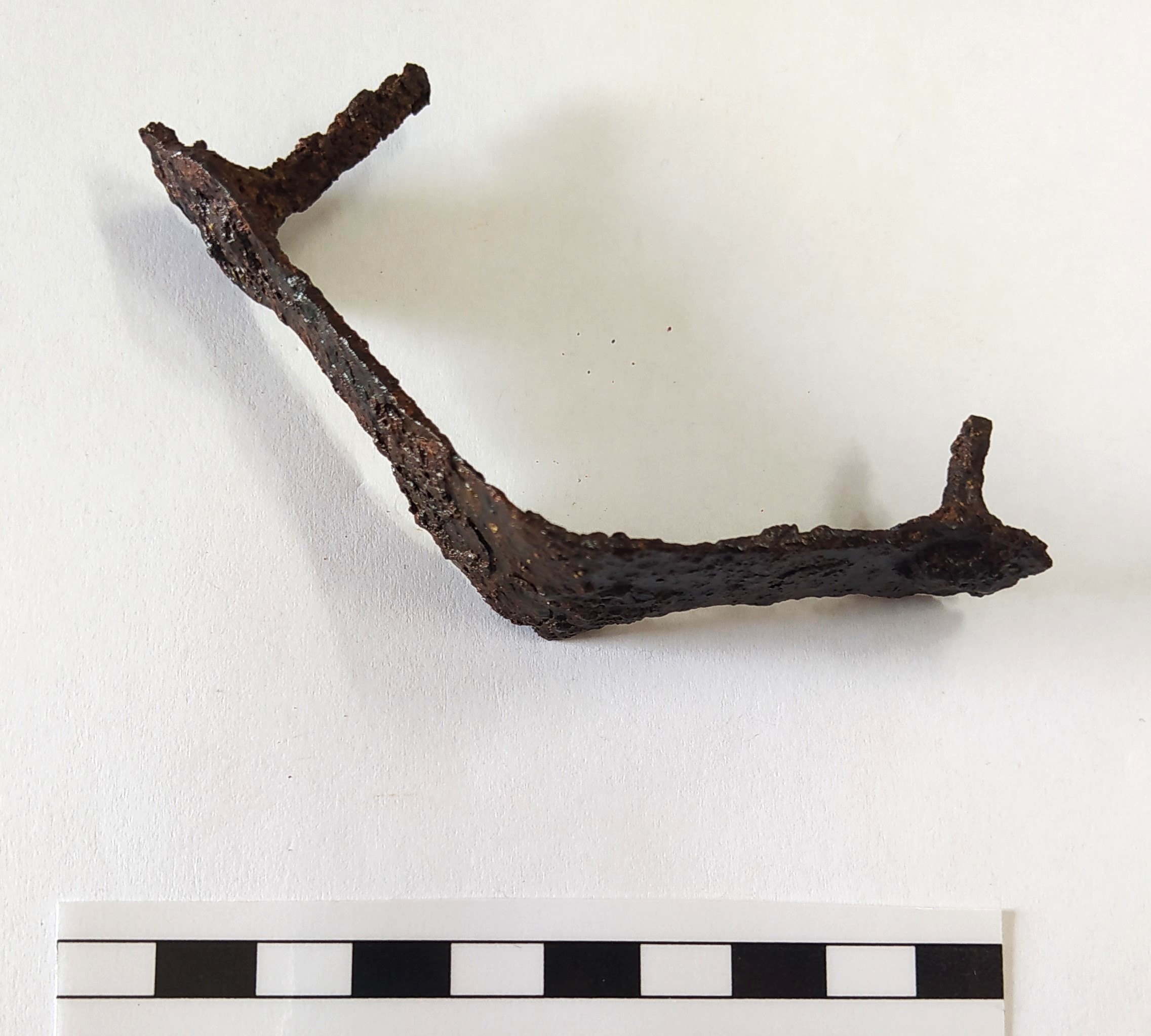 SINGOLO OGGETTO/ grappa, Alto Medioevo