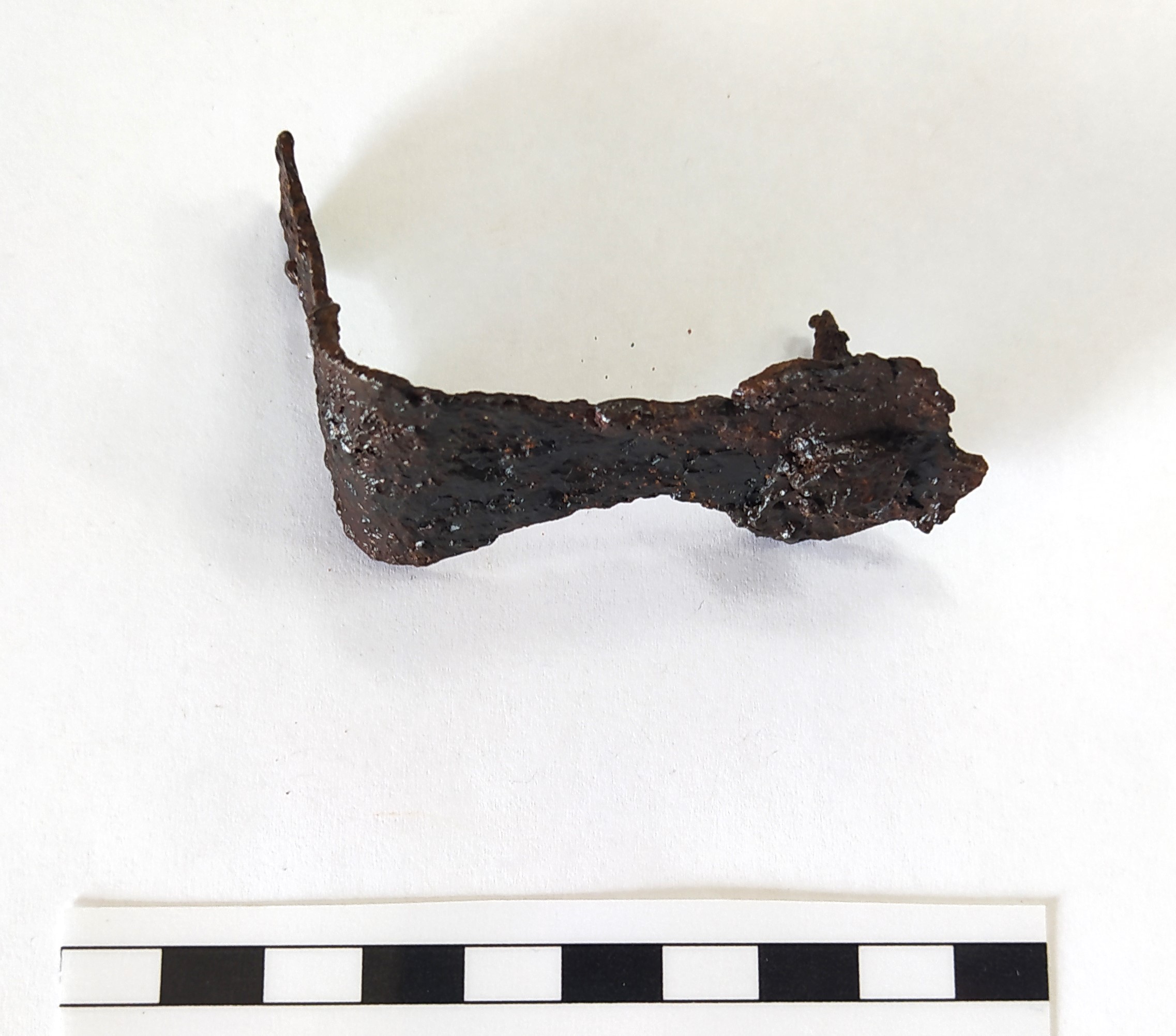 SINGOLO OGGETTO/ grappa, Alto Medioevo