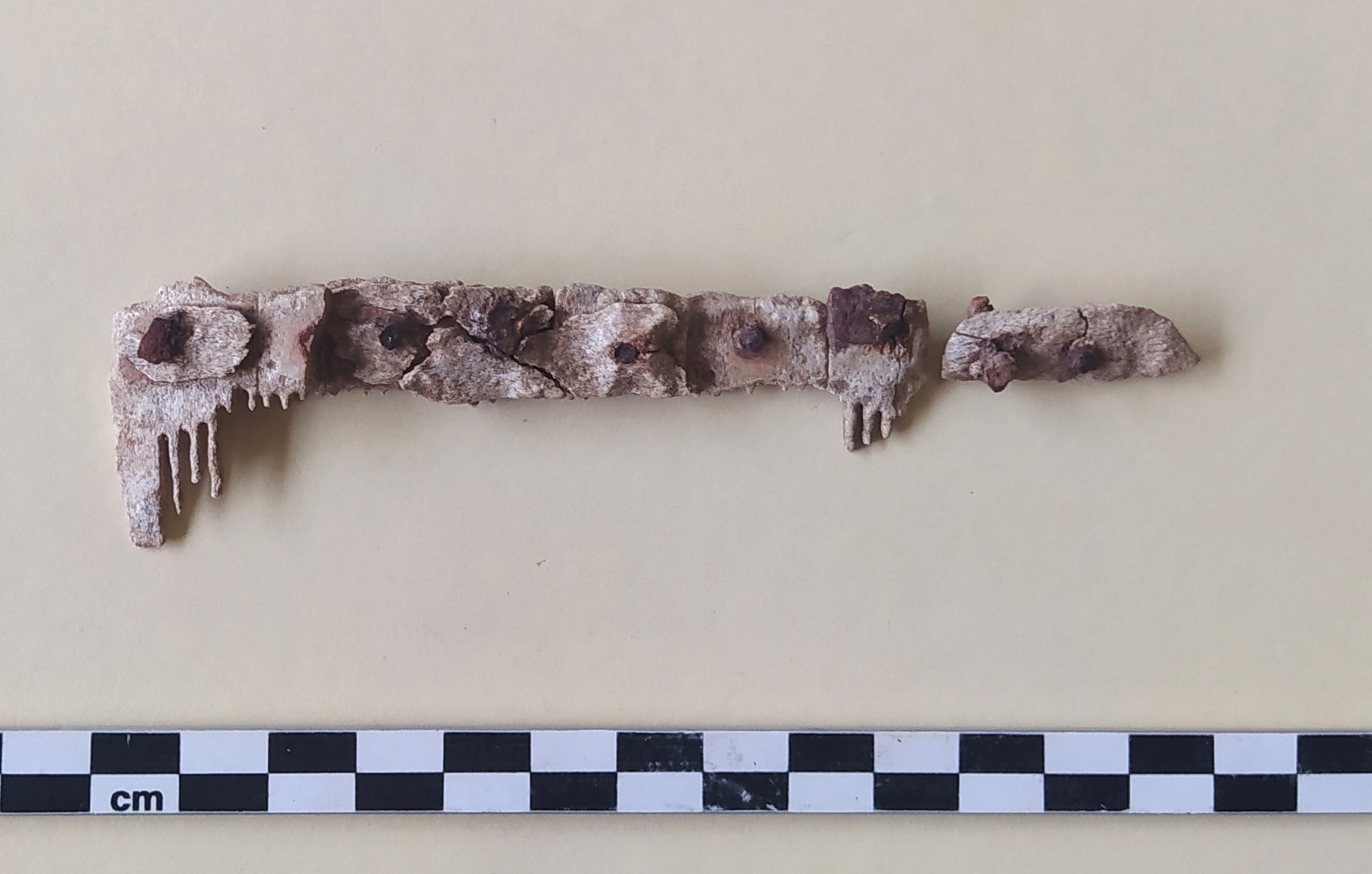 SINGOLO OGGETTO/ pettine, Alto Medioevo