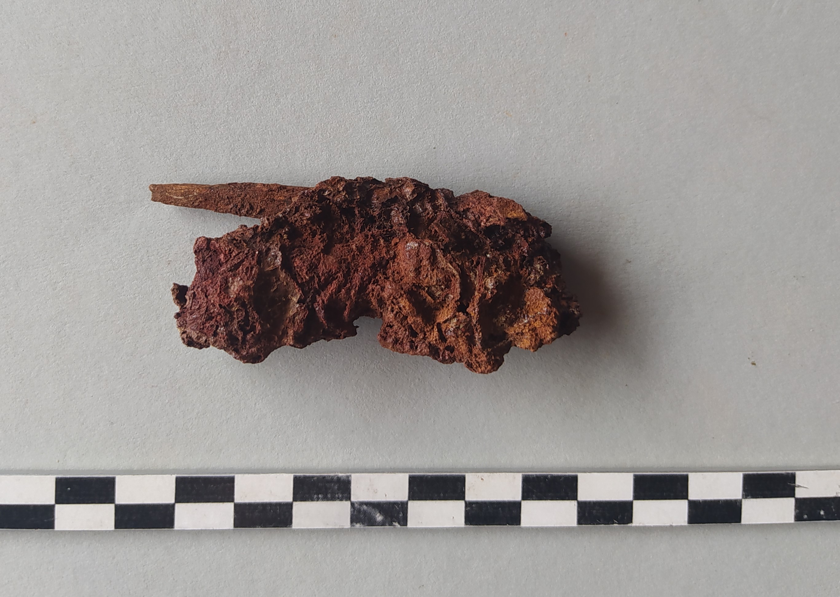 SINGOLO OGGETTO/ oggetto non identificato, Alto Medioevo