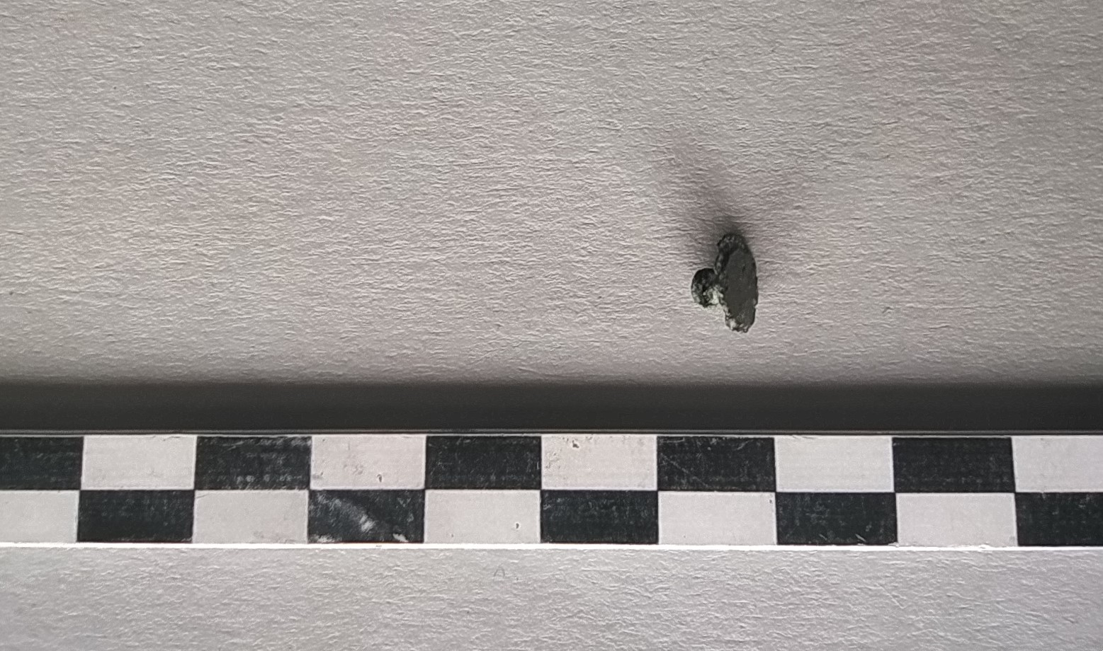 SINGOLO OGGETTO/ ribattino, Alto Medioevo