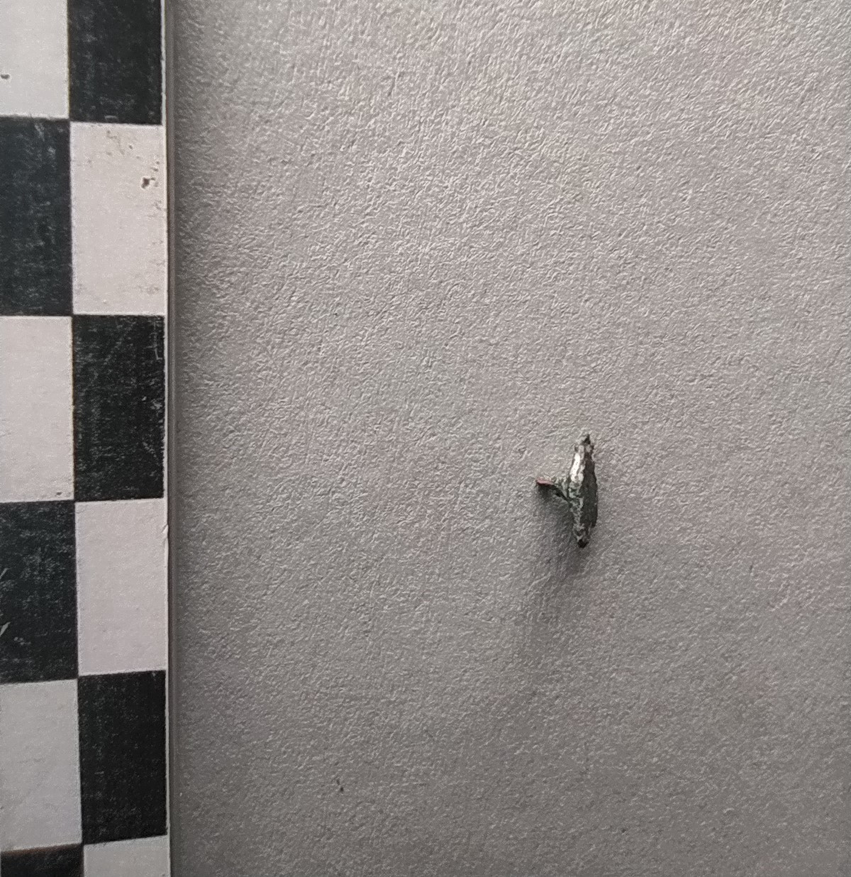 SINGOLO OGGETTO/ ribattino, Alto Medioevo