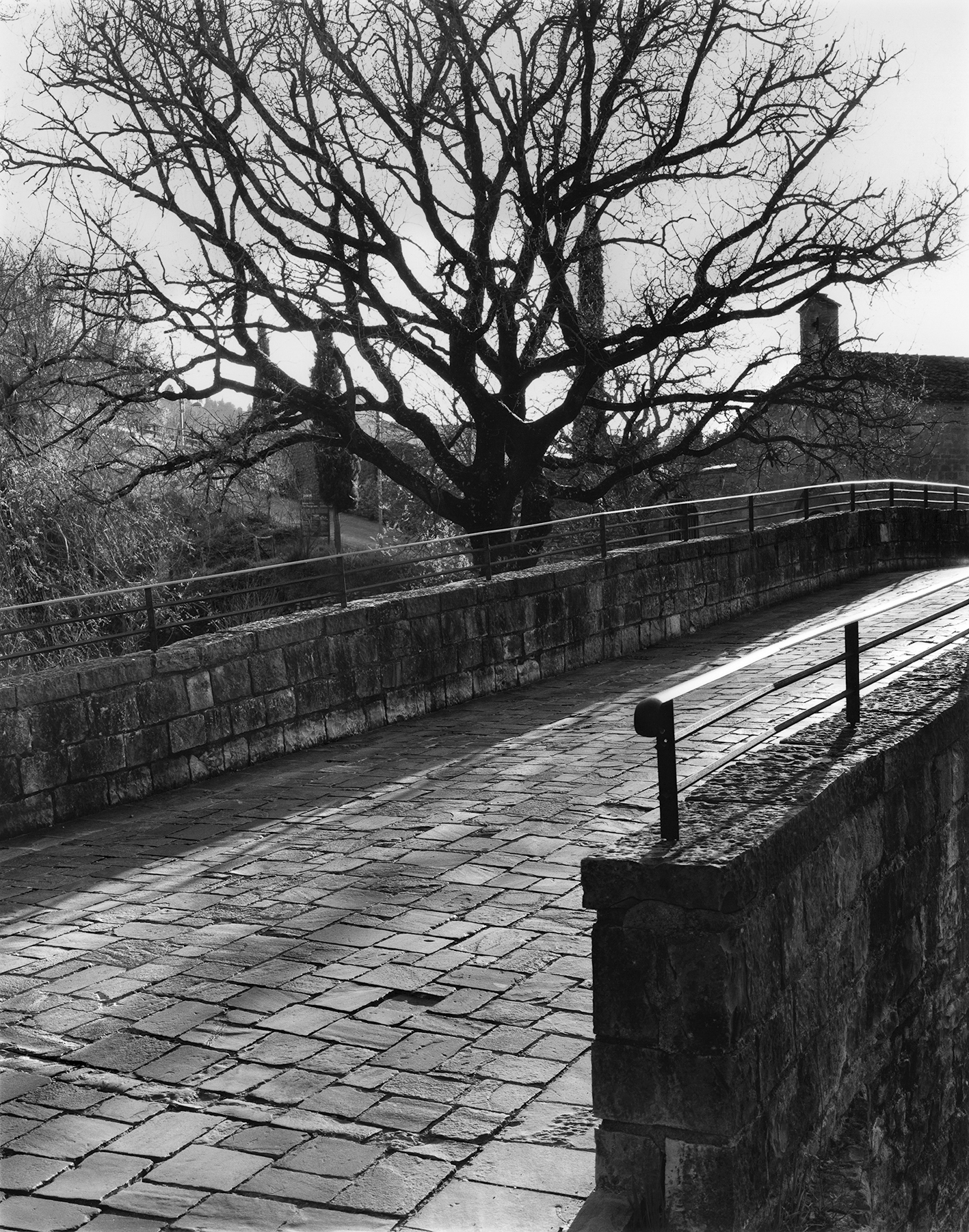 Assisi - Ponte dei Galli (positivo, elemento-parte componente) di Spina, Luigi (secondo quarto XXI)