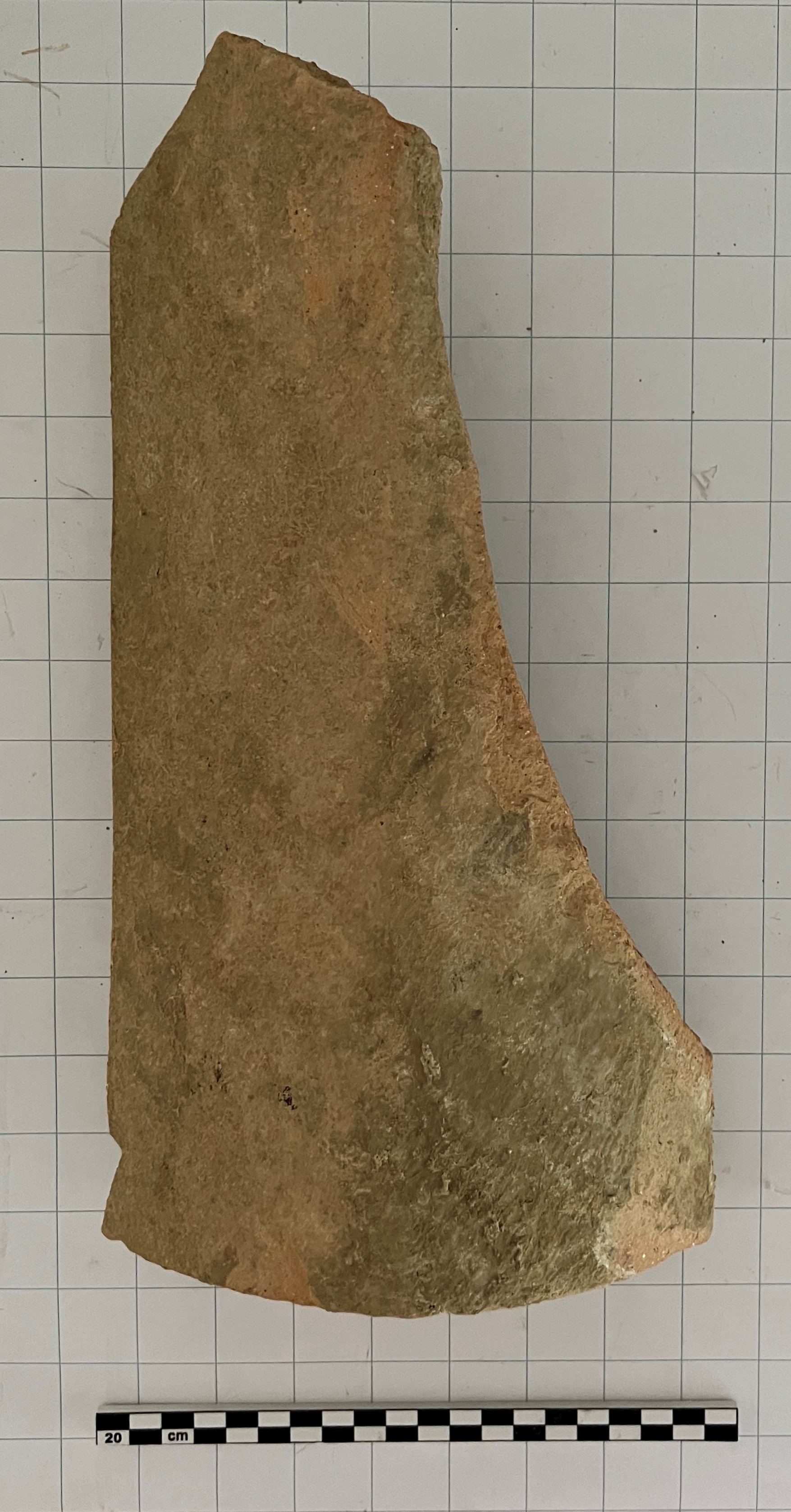 SINGOLO OGGETTO/ coppo, SECOLI/ VI a.C