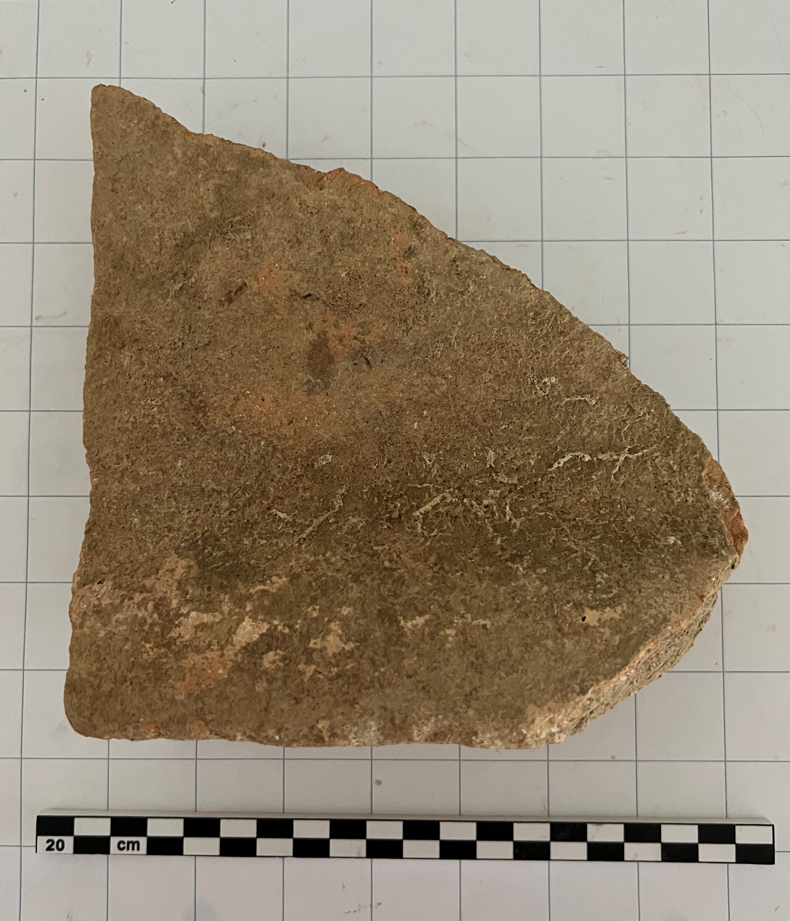 SINGOLO OGGETTO/ coppo, non determinabile