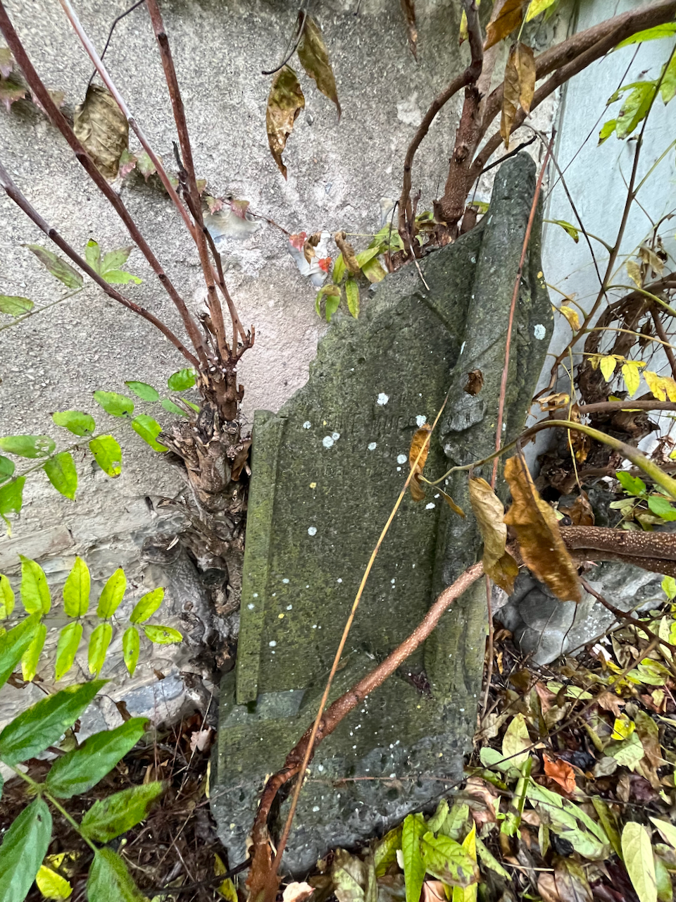 stele funeraria - ambito ebraico (XX)