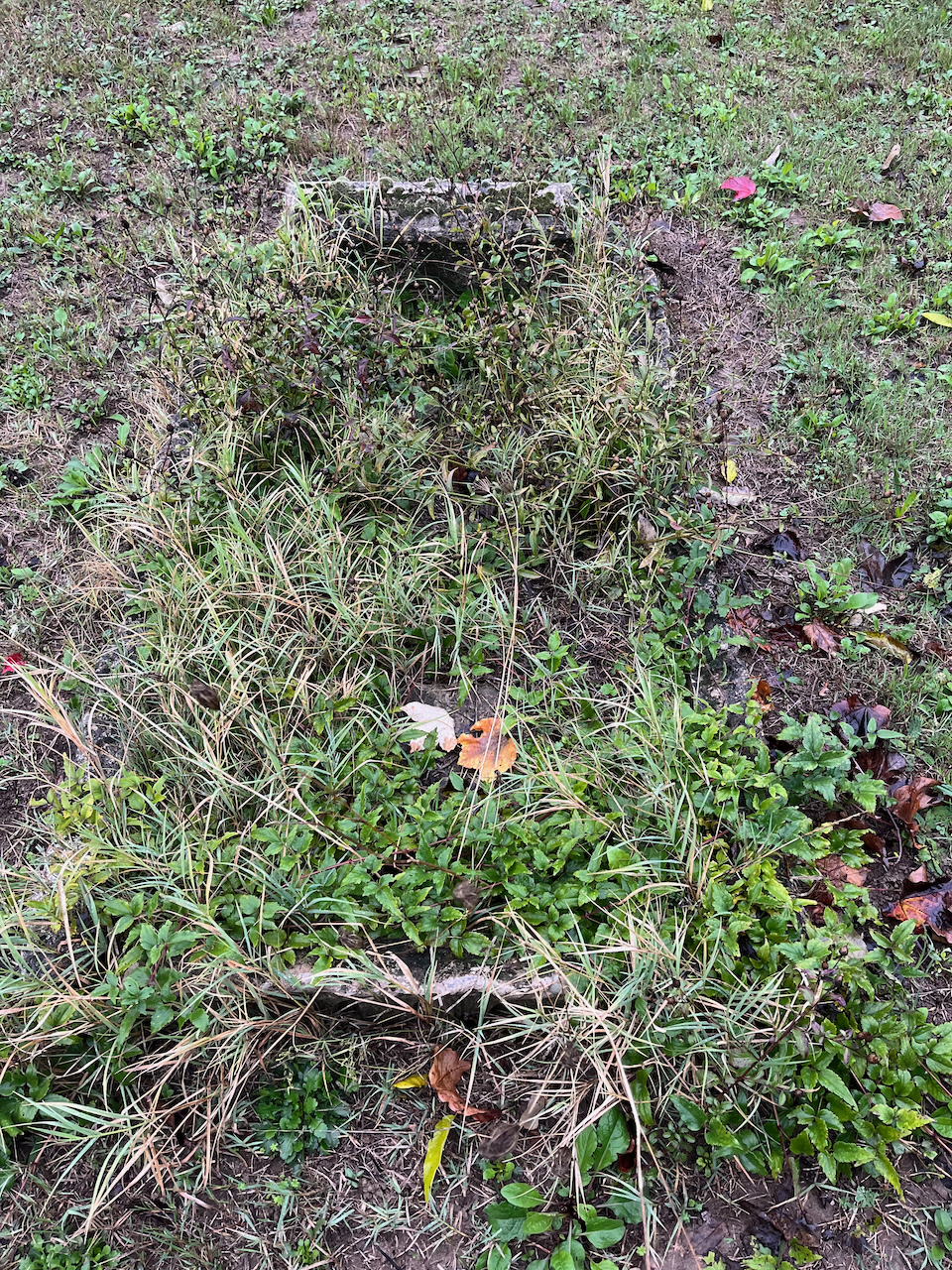 stele funeraria - ambito ebraico (fine XIX)