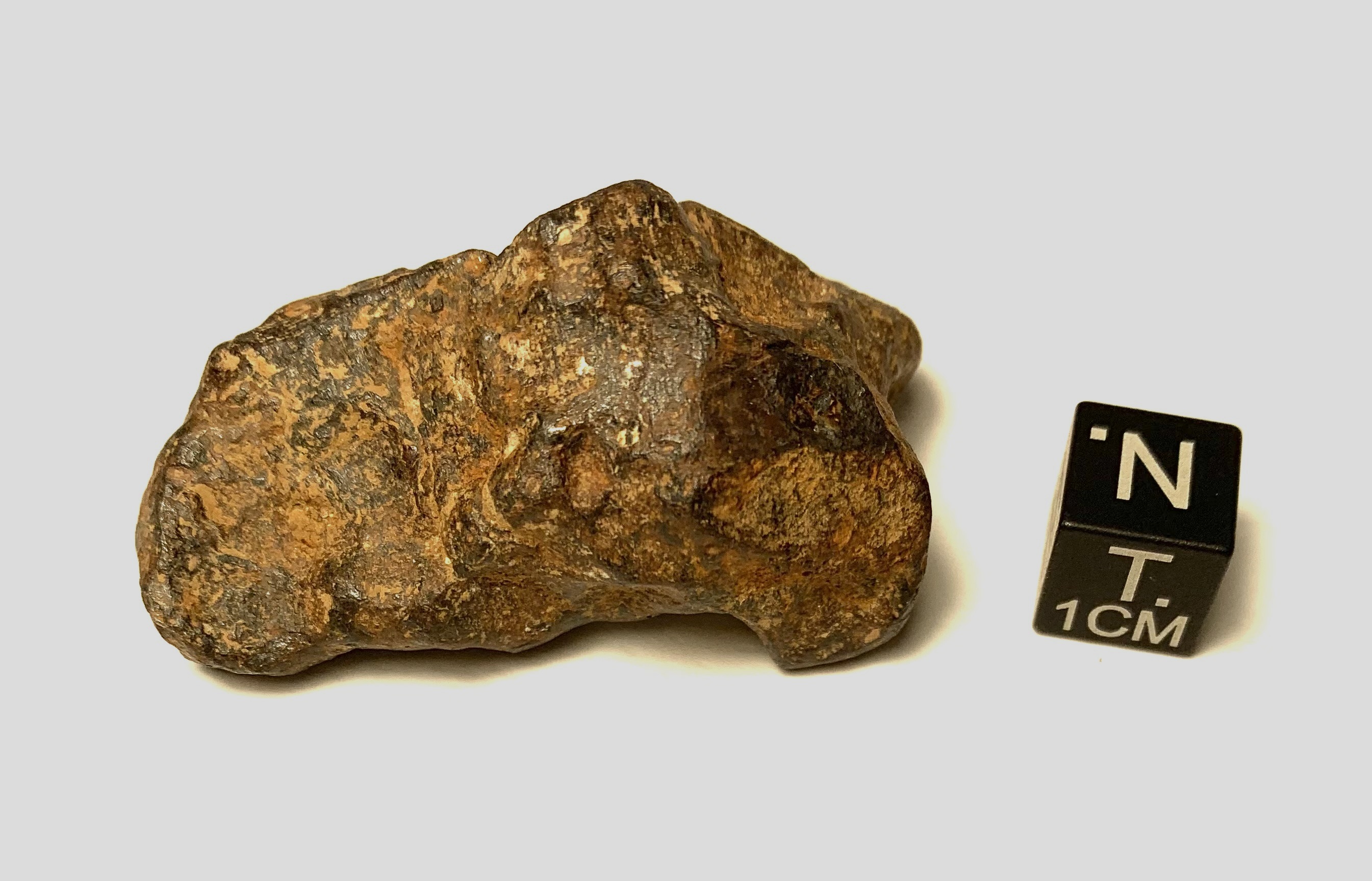 Meteorite/ Iron/ Agoudal (esemplare)