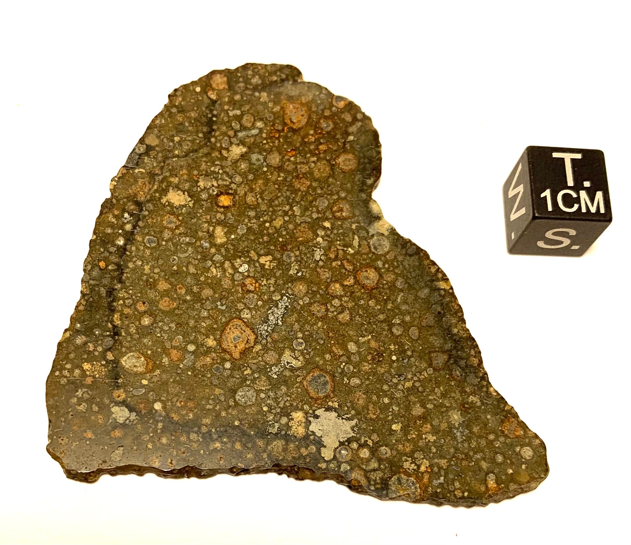 Meteorite/ Condrite carbonacea/ Northwest Africa 14100 (esemplare)