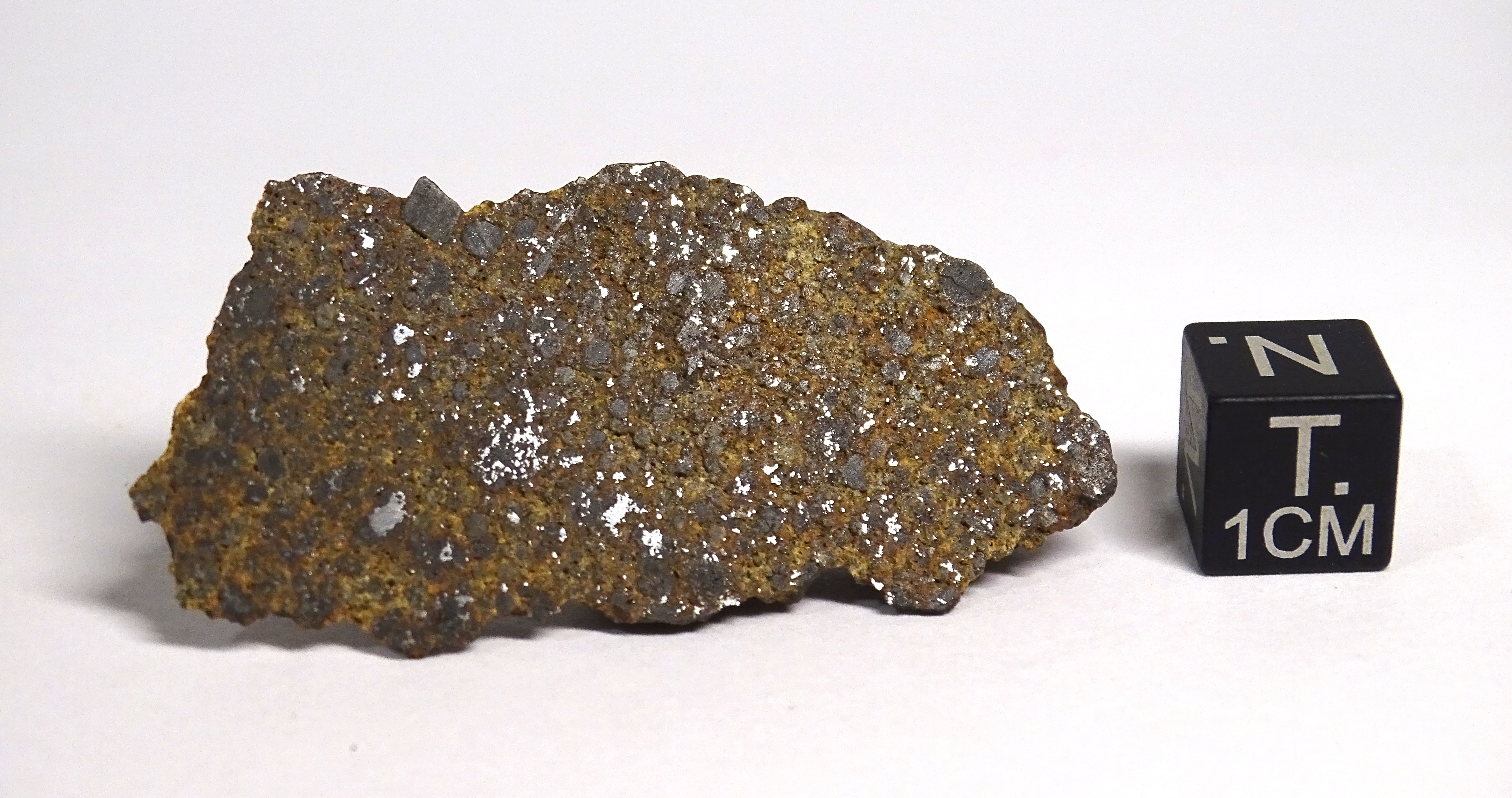 Meteorite/ Condrite ordinaria/ Northwest Africa 7113 (esemplare)