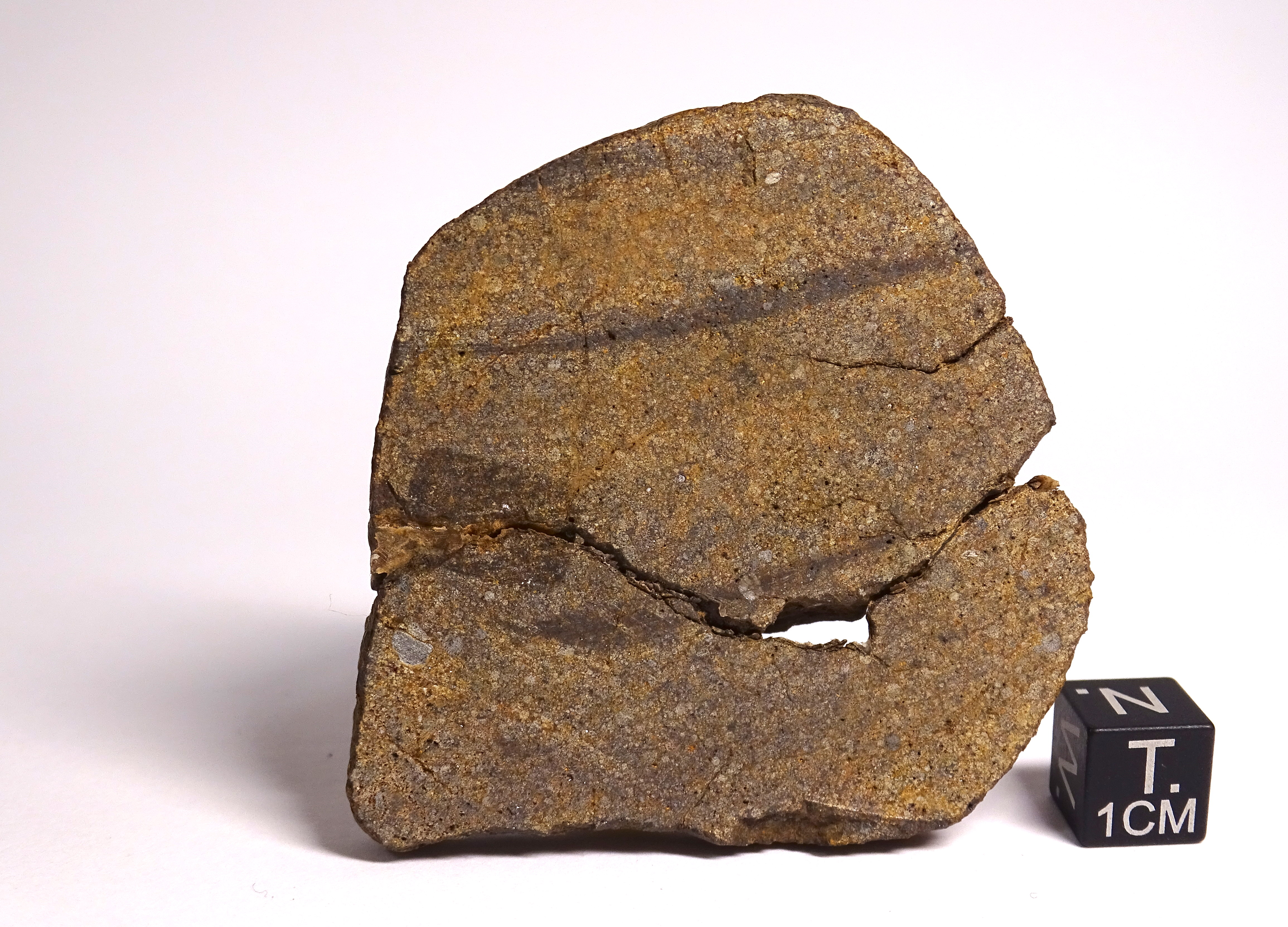 Meteorite/ Condrite ordinaria/ Northwest Africa 8464 (esemplare)