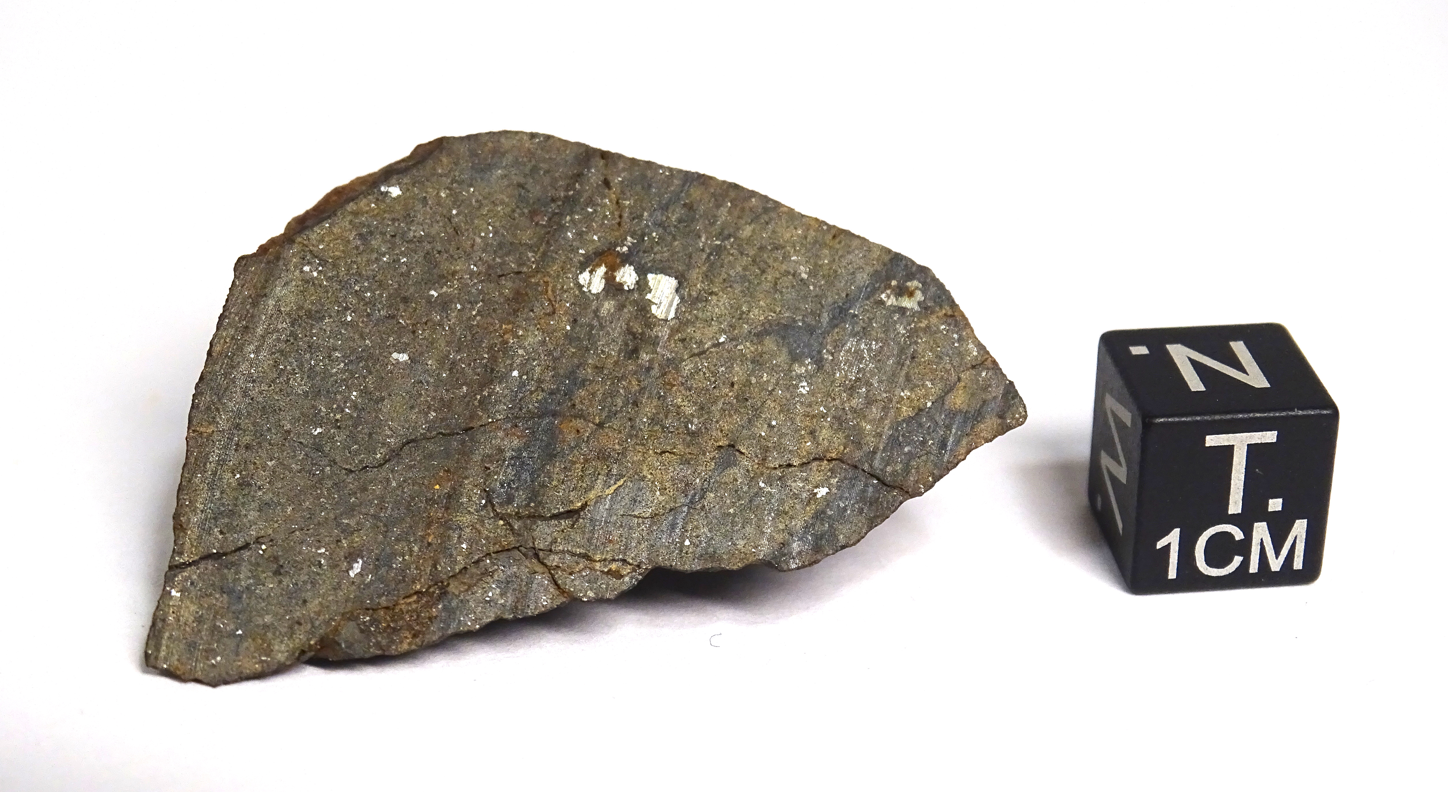 Meteorite/ Condrite ordinaria/ Northwest Africa 8711 (esemplare)