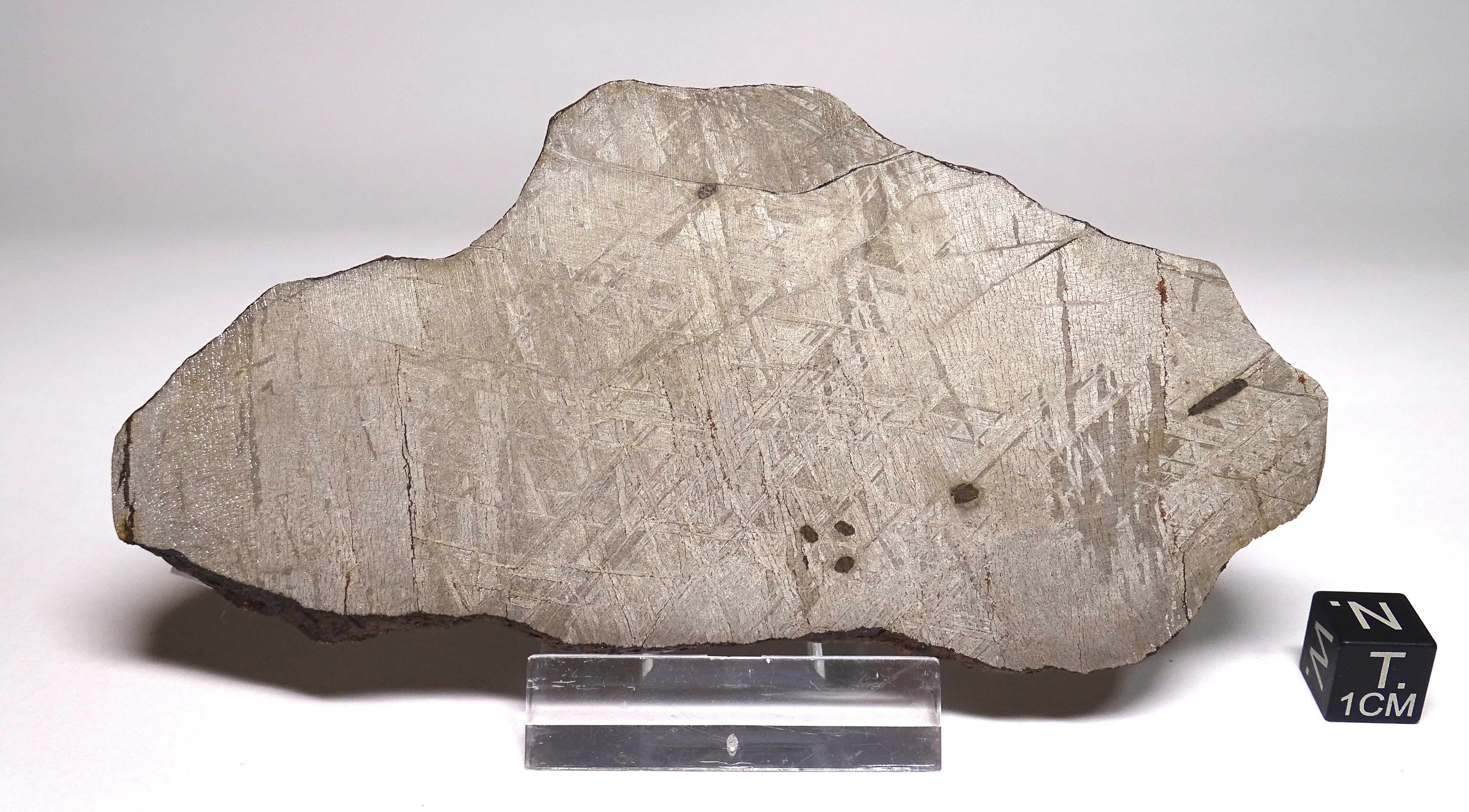 Meteorite/ Iron/ Gibeon (esemplare)