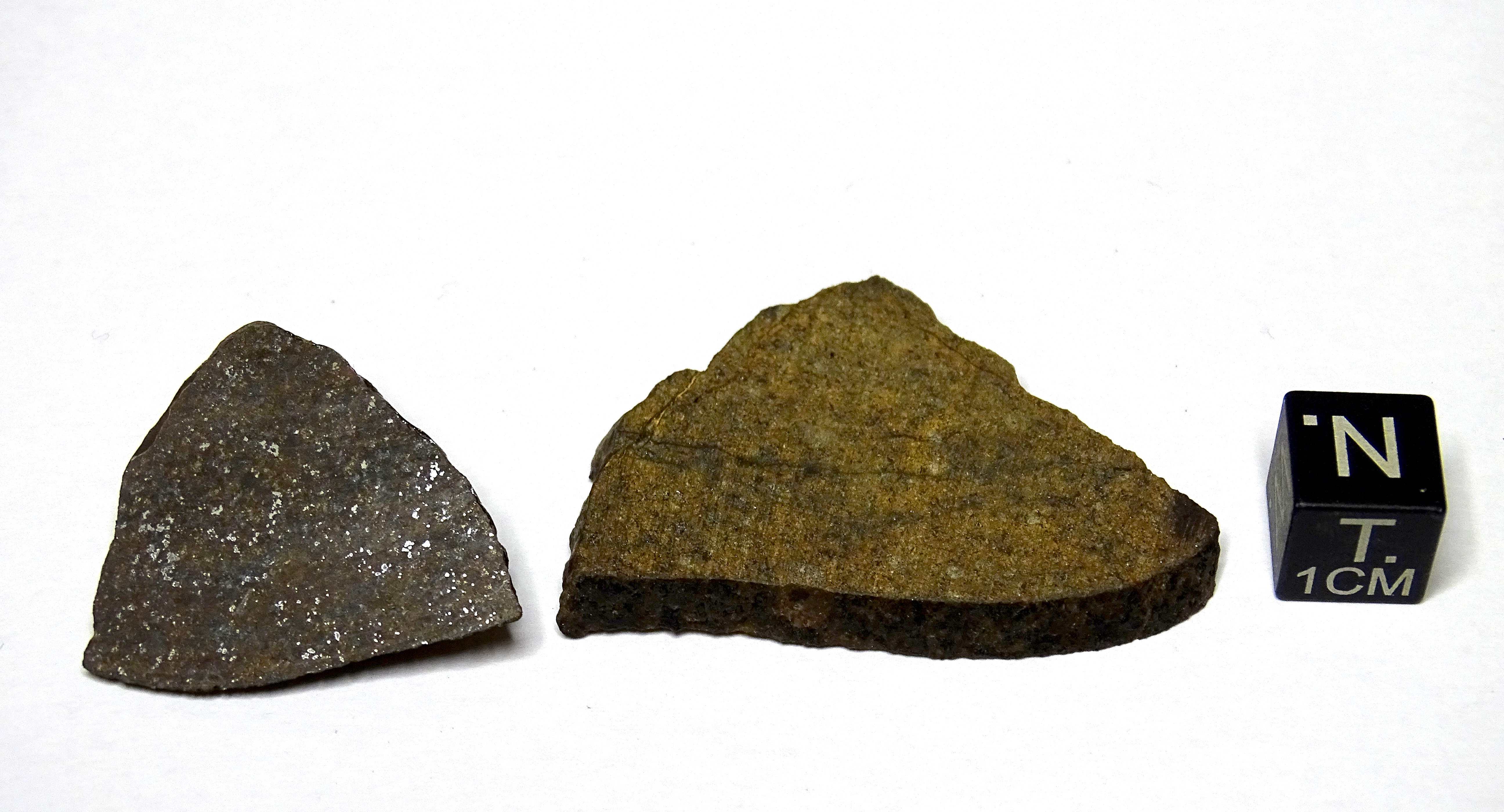 Meteorite/ Condrite ordinaria/ Northwest Africa 1704 (esemplare)