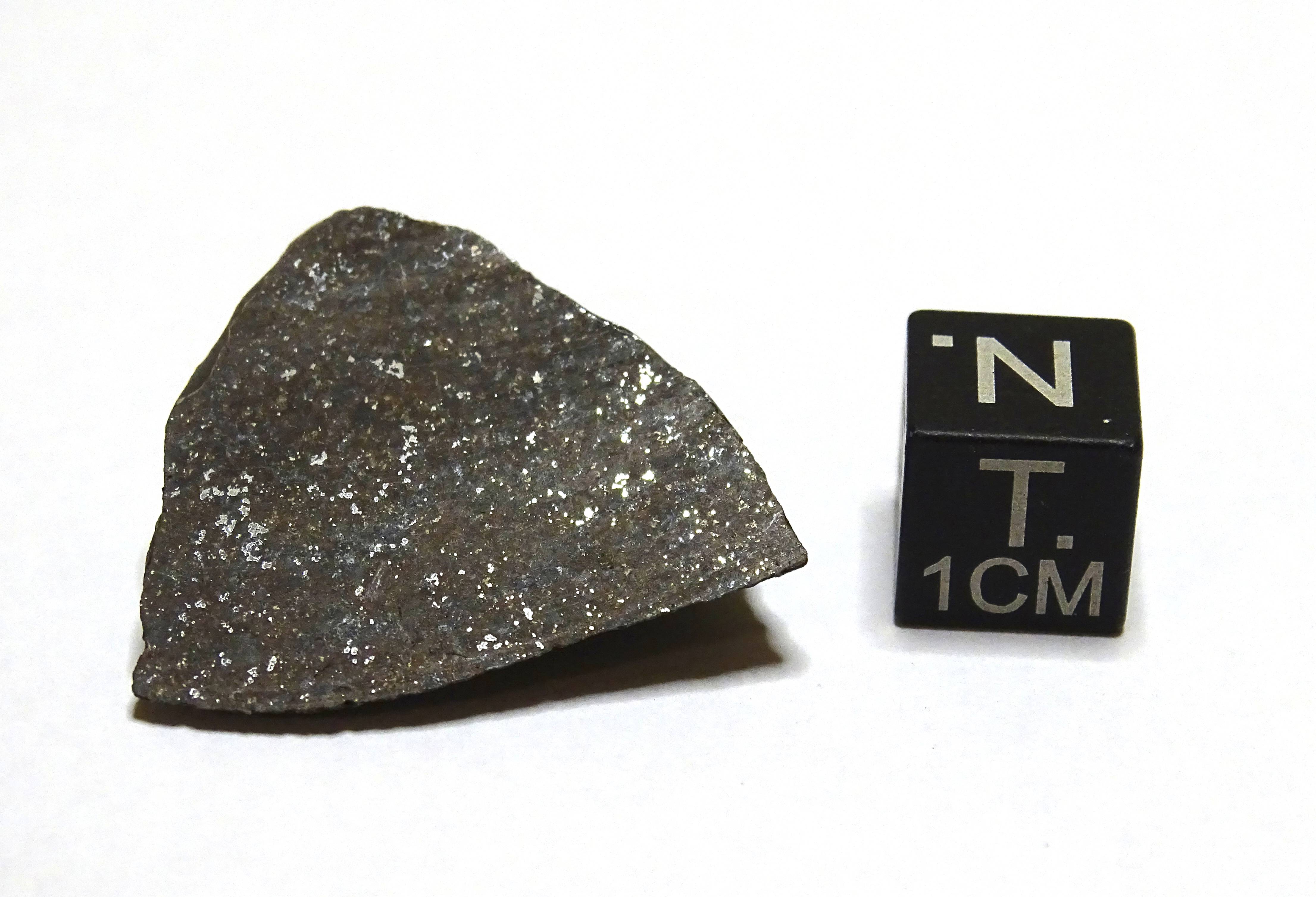 Meteorite/ Condrite ordinaria/ Northwest Africa 1704 (esemplare)