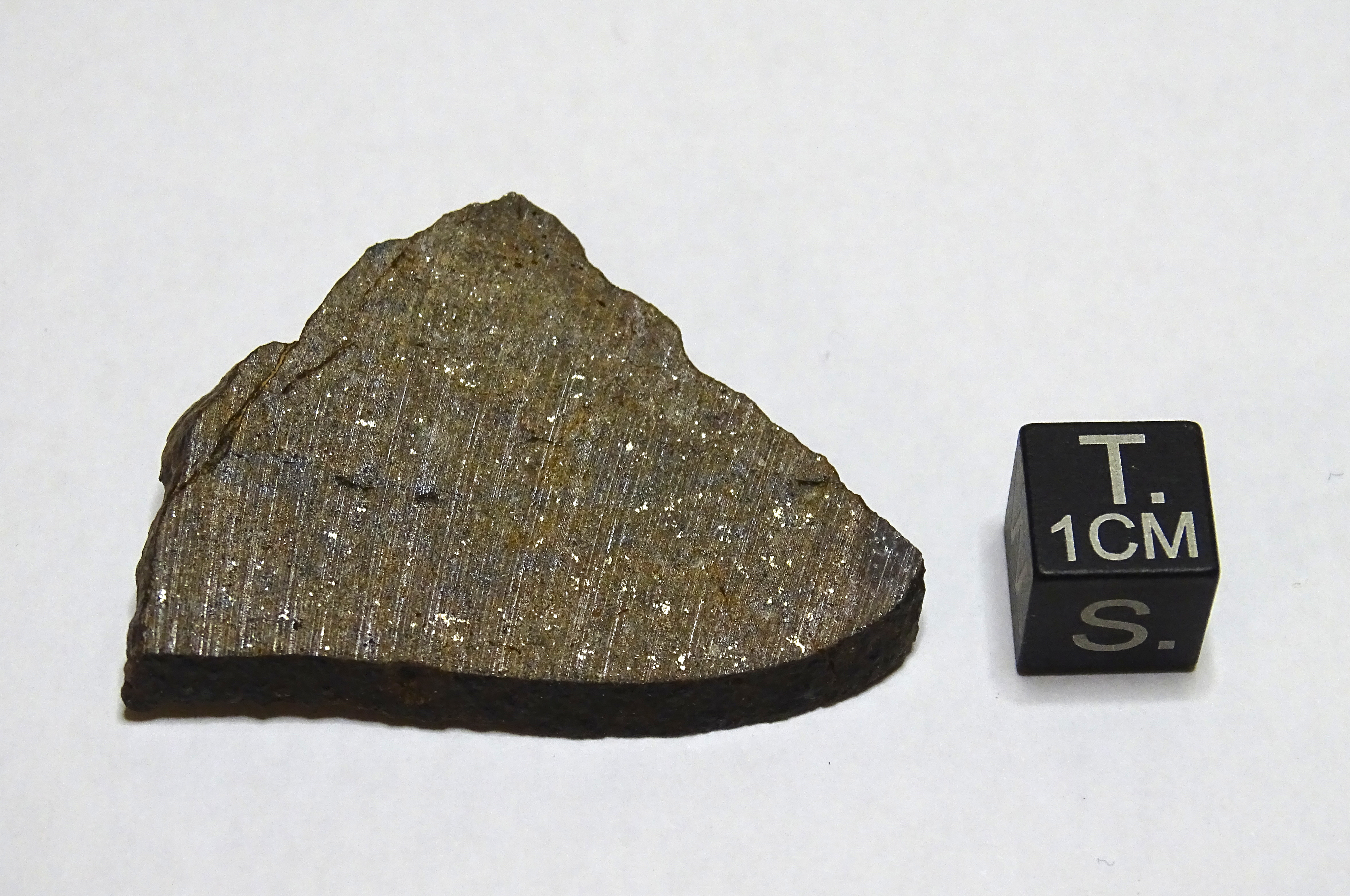 Meteorite/ Condrite ordinaria/ Northwest Africa 1704 (esemplare)