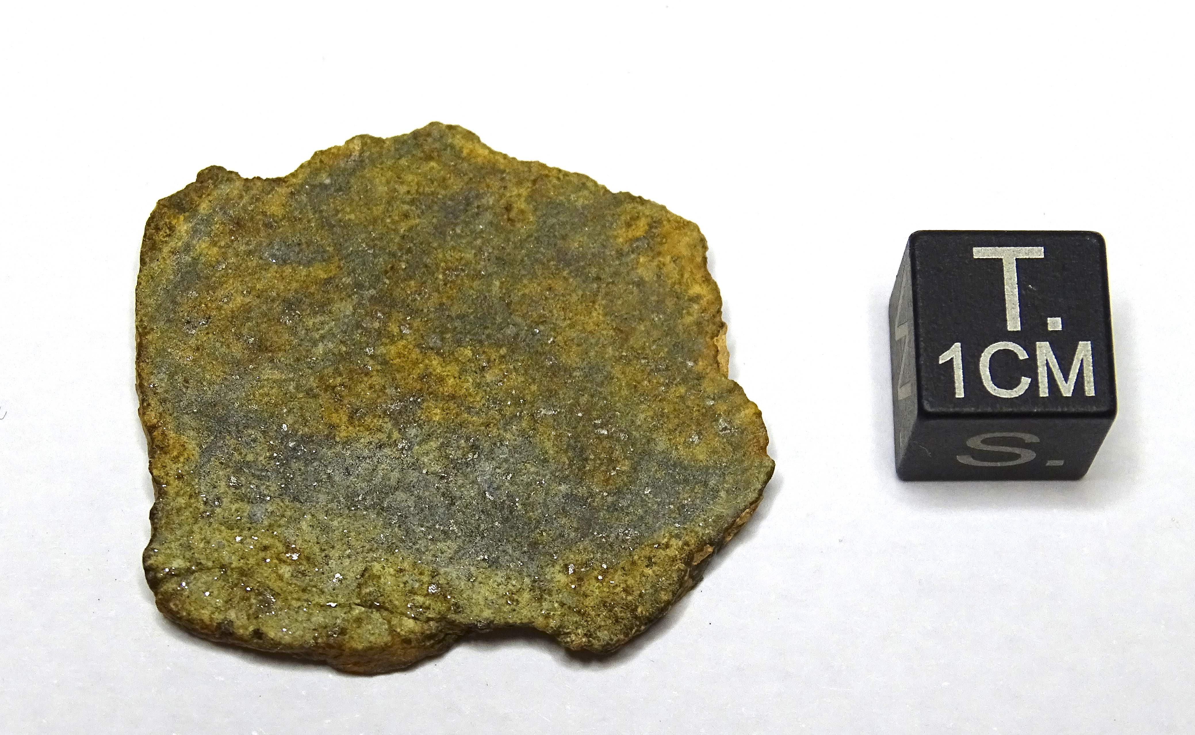 Meteorite/ Condrite ordinaria/ Northwest Africa 1809 (esemplare)
