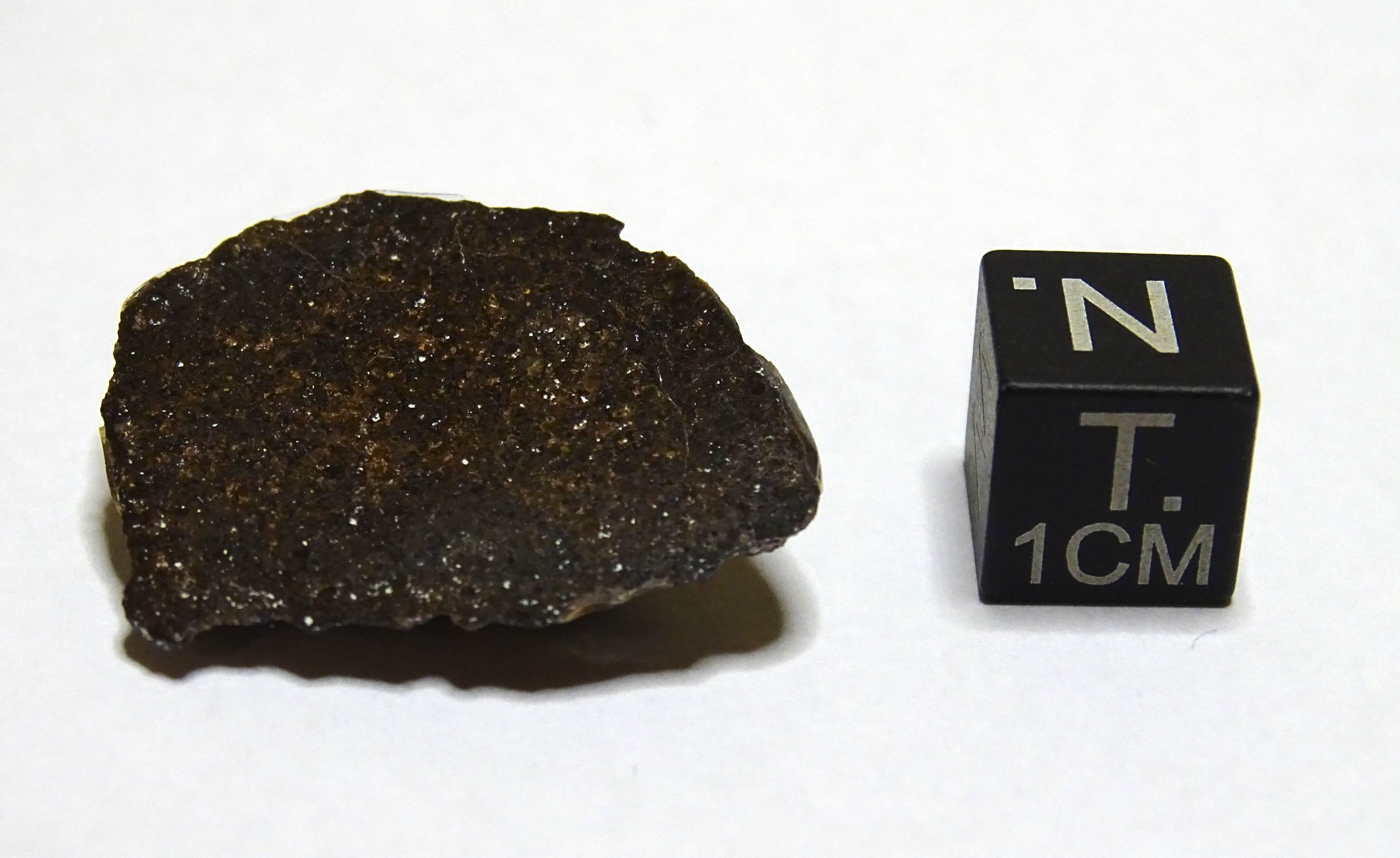 Meteorite/ Condrite ordinaria/ Northwest Africa 5081 (esemplare)