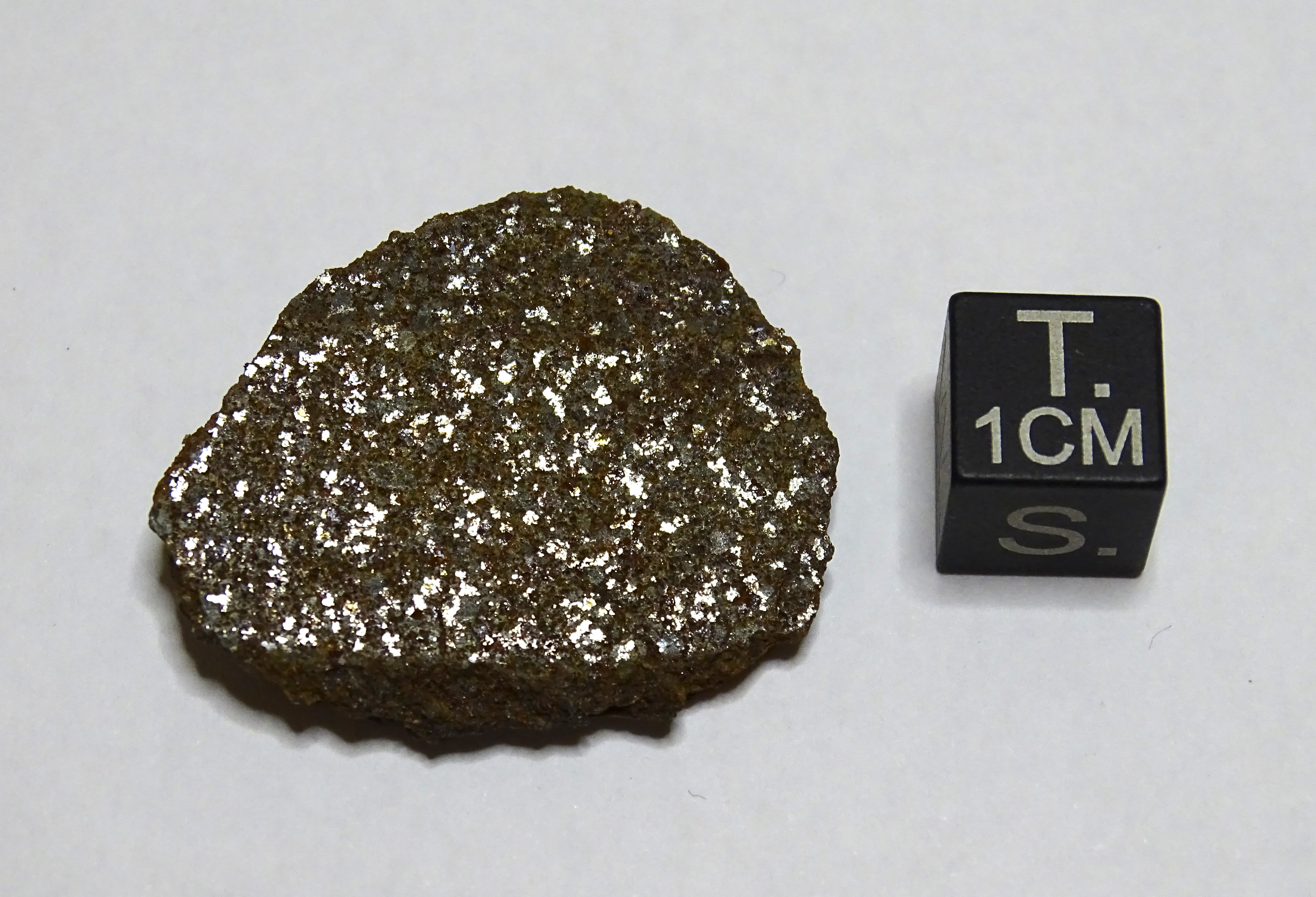 Meteorite/ Condrite ordinaria/ Northwest Africa 6543 (esemplare)
