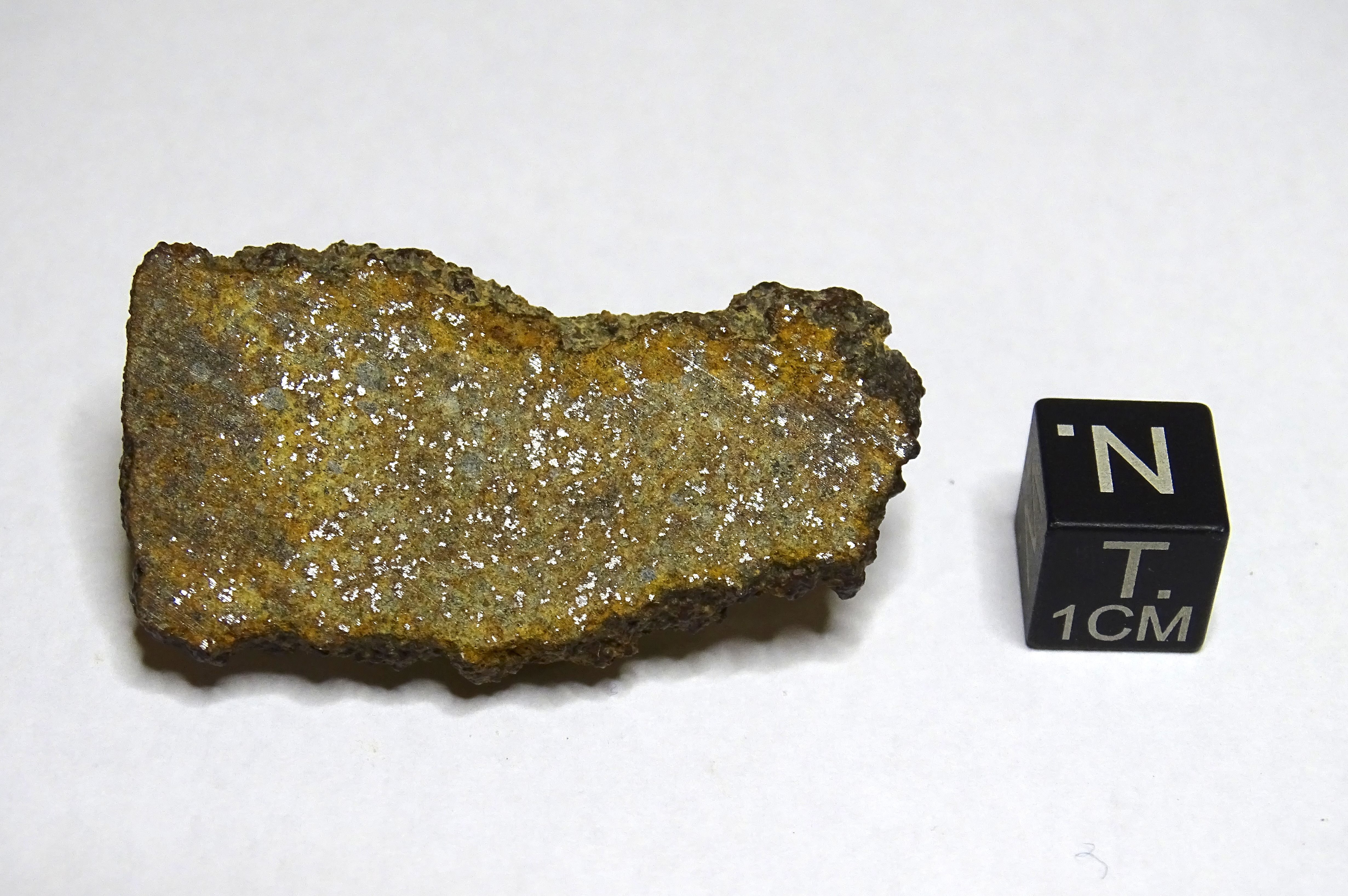 Meteorite/ Condrite ordinaria/ Northwest Africa 2350 (esemplare)