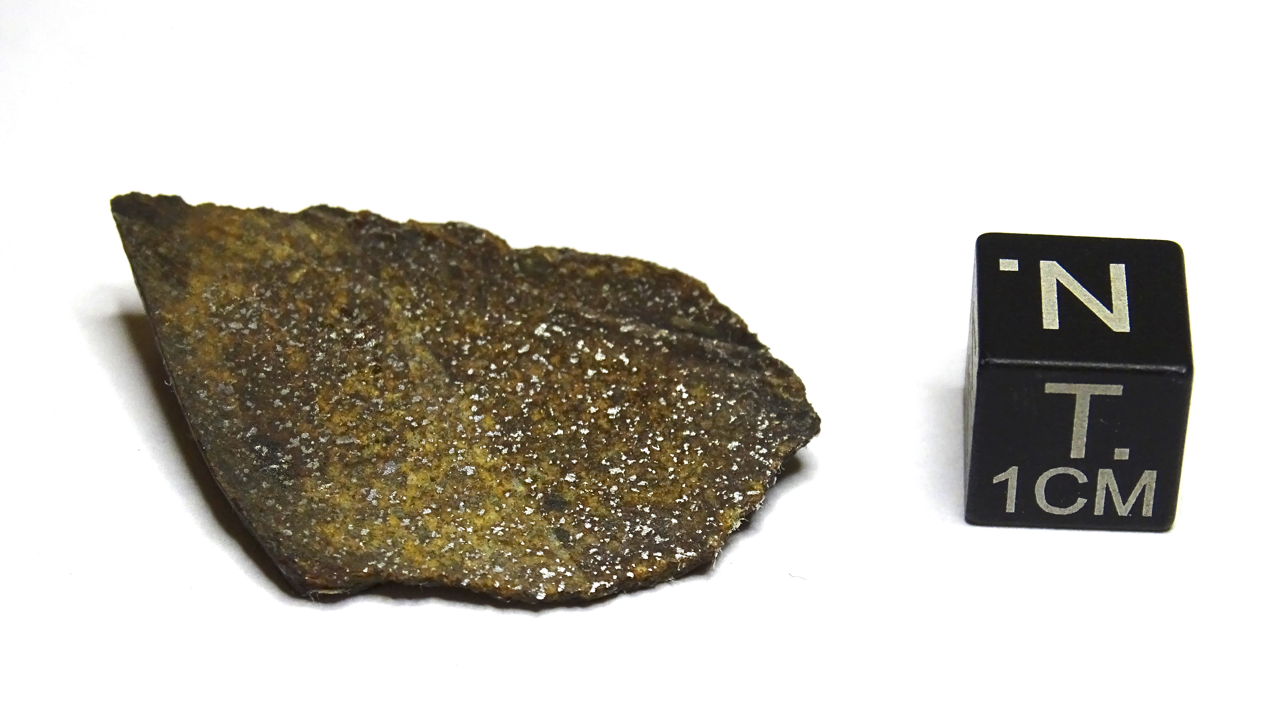 Meteorite/ Condrite ordinaria/ Northwest Africa 7763 (esemplare)