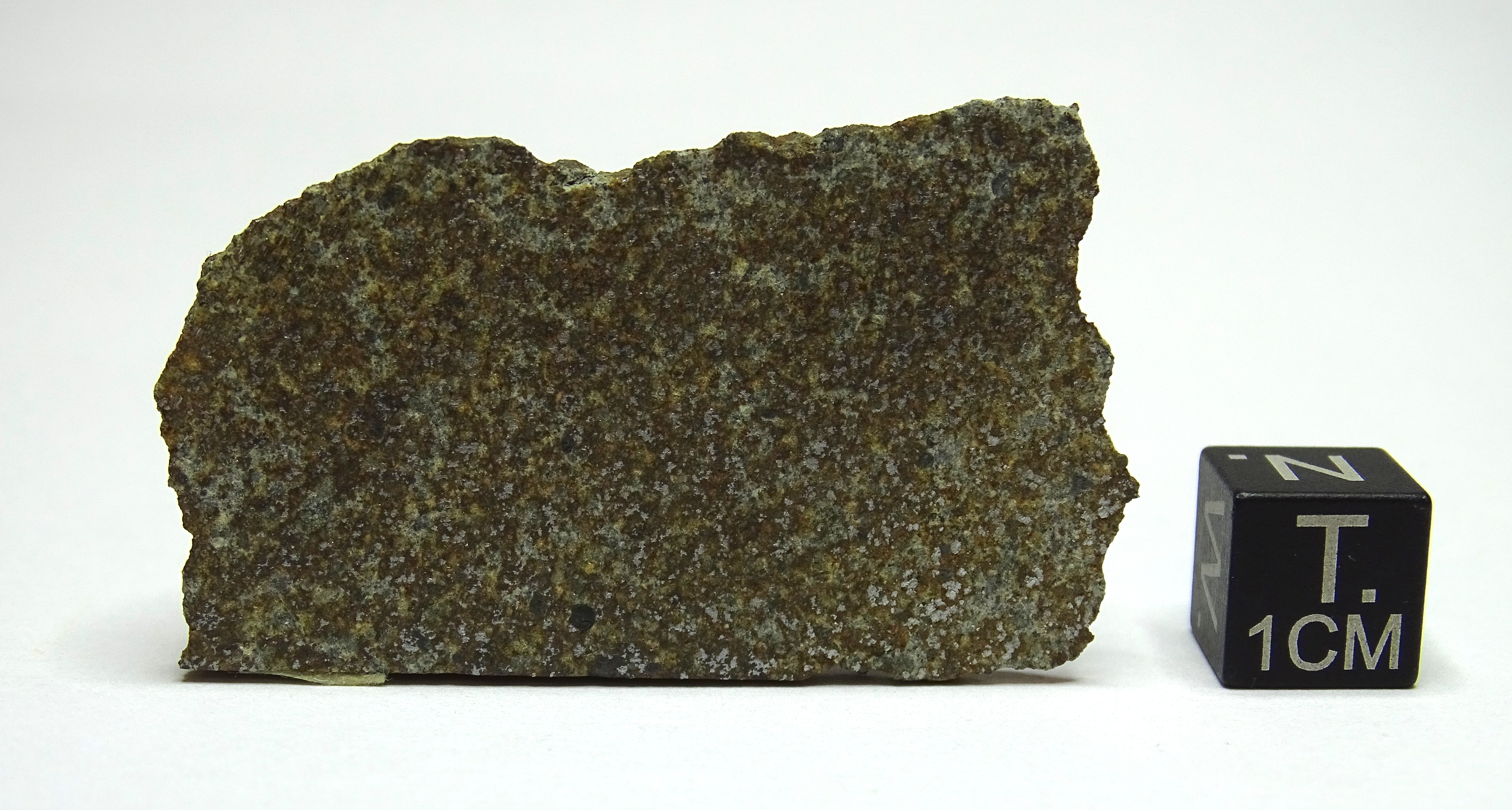 Meteorite/ Condrite ordinaria/ Collescipoli (esemplare)