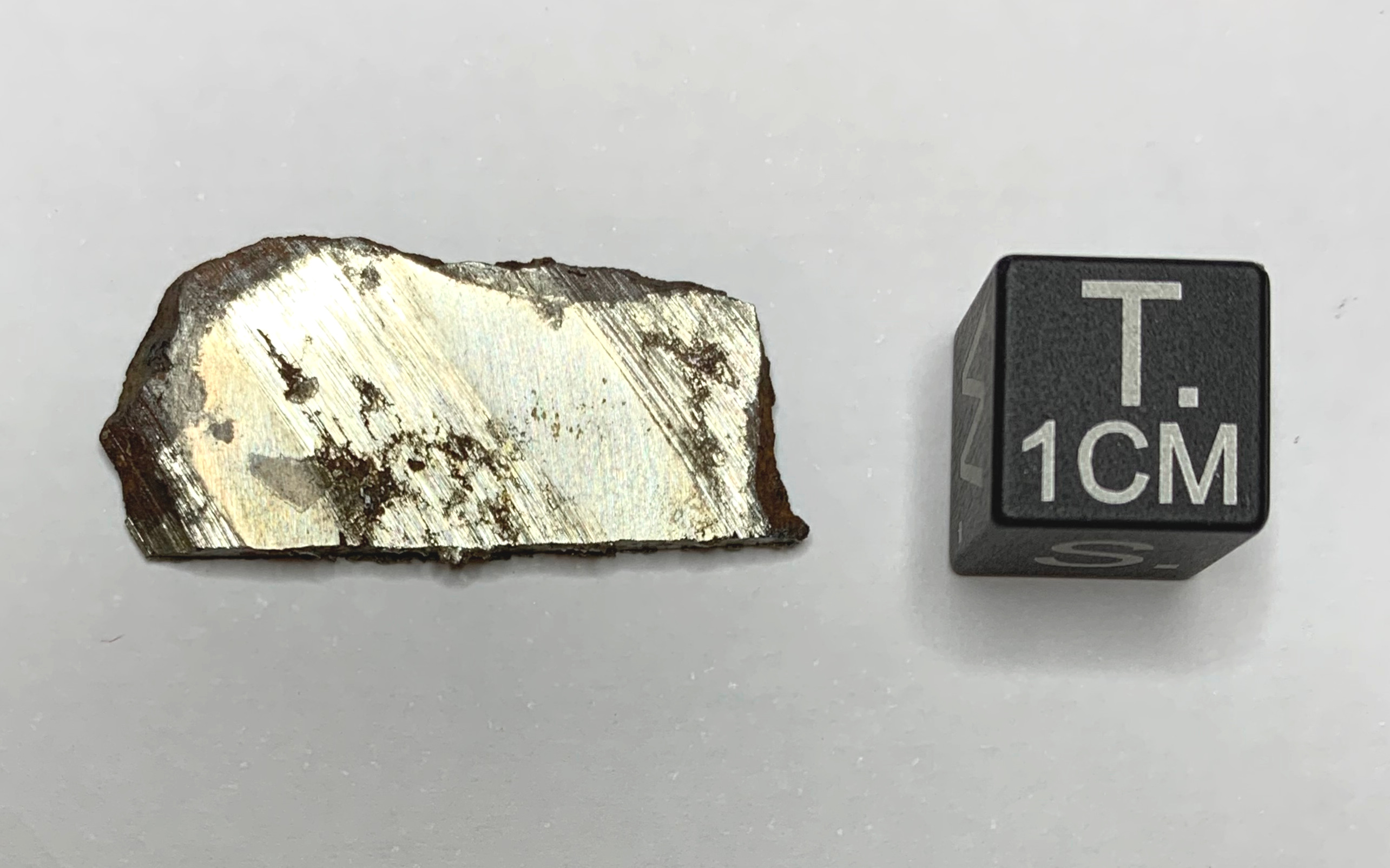 Meteorite/ Iron/ Barbianello (esemplare)