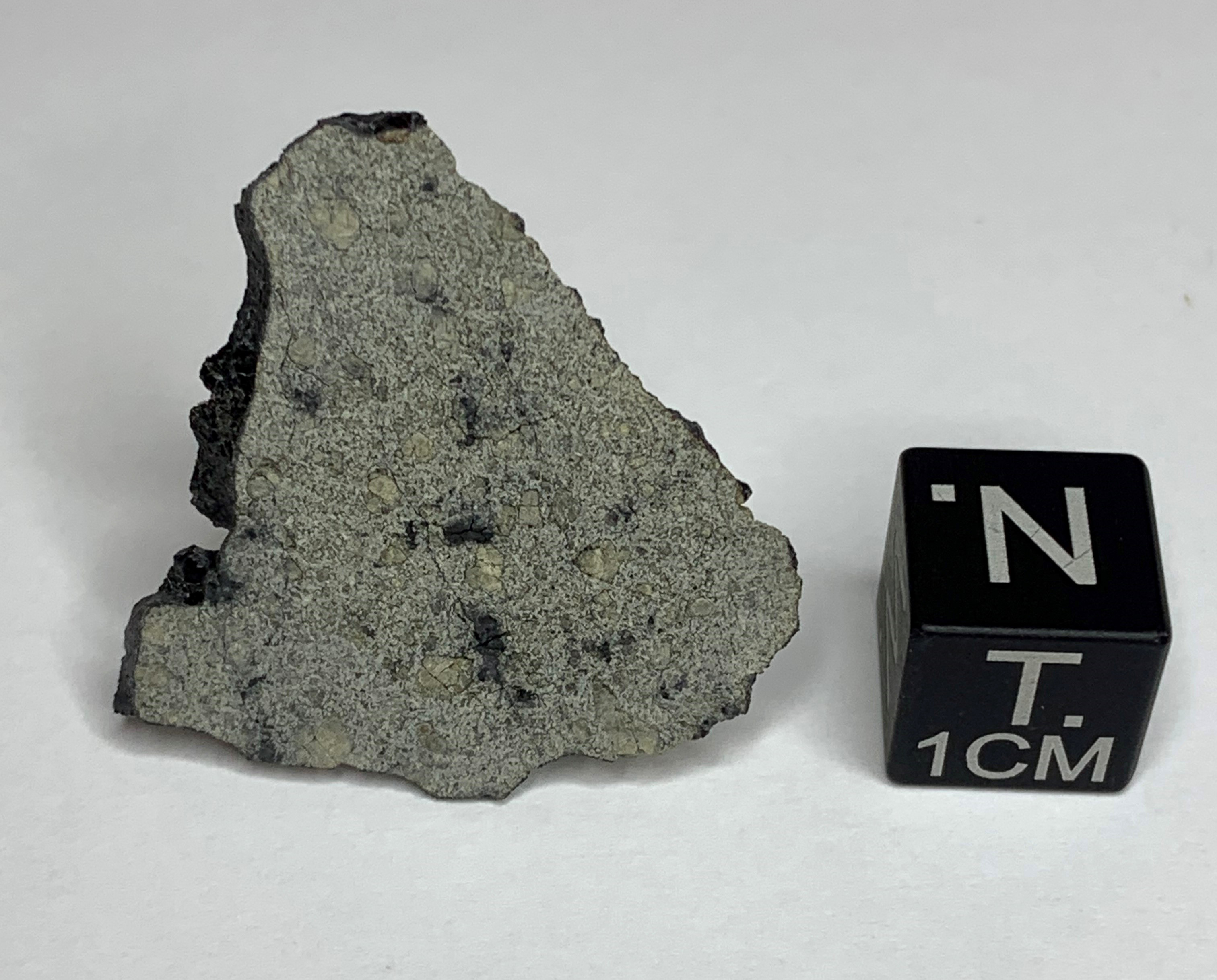 Meteorite/ Meteorite marziana/ Tissint (esemplare)