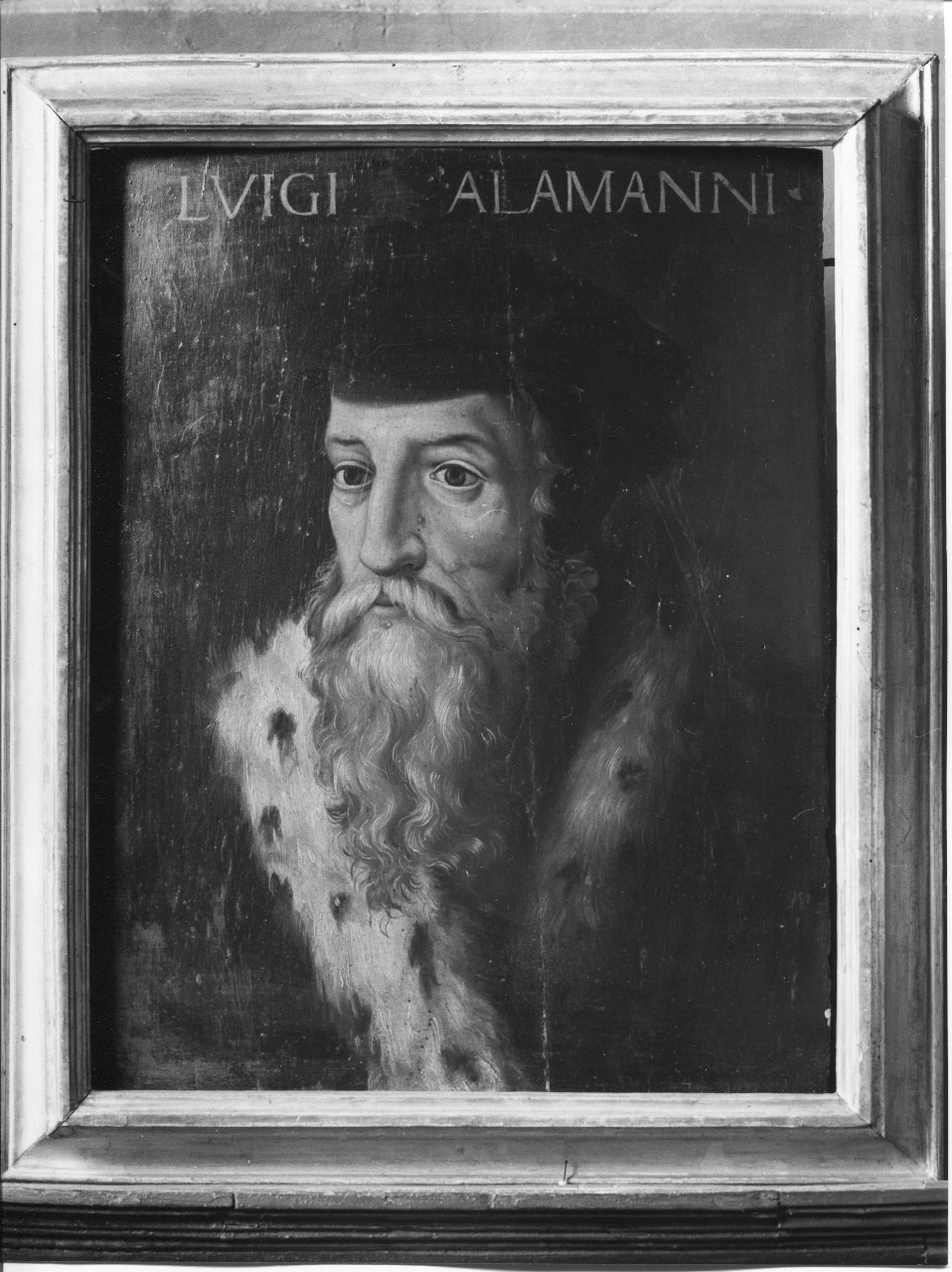 ritratto di Luigi Alamanni (dipinto) - ambito toscano (XVIII)