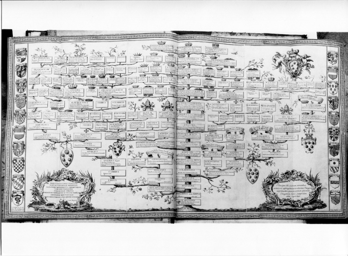 albero genealogico della famiglia Medici (stampa) di Dei Giovanni Battista, Allegrini Francesco (XVIII)