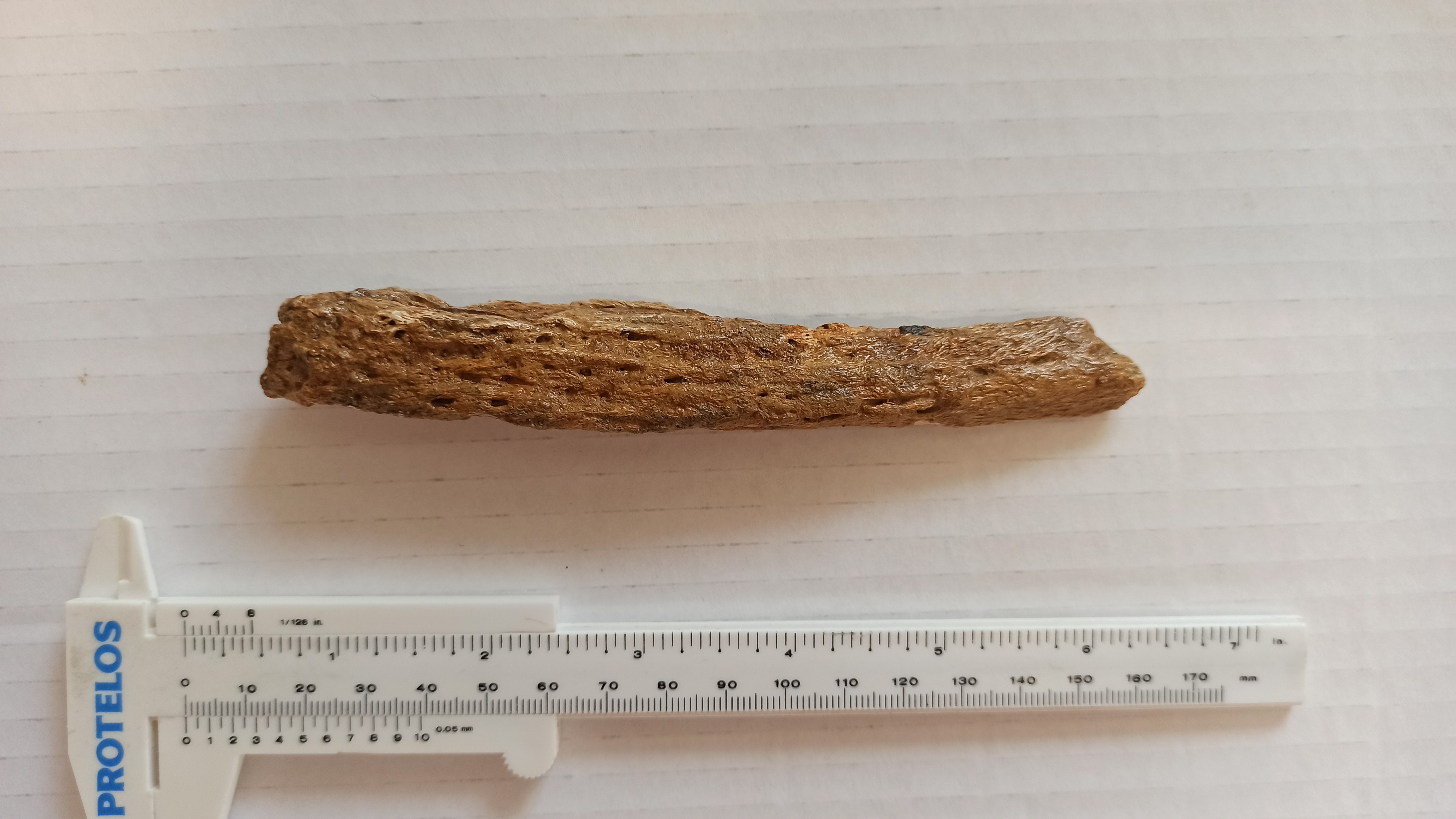 SINGOLO OGGETTO, PERIODIZZAZIONI/ PREISTORIA