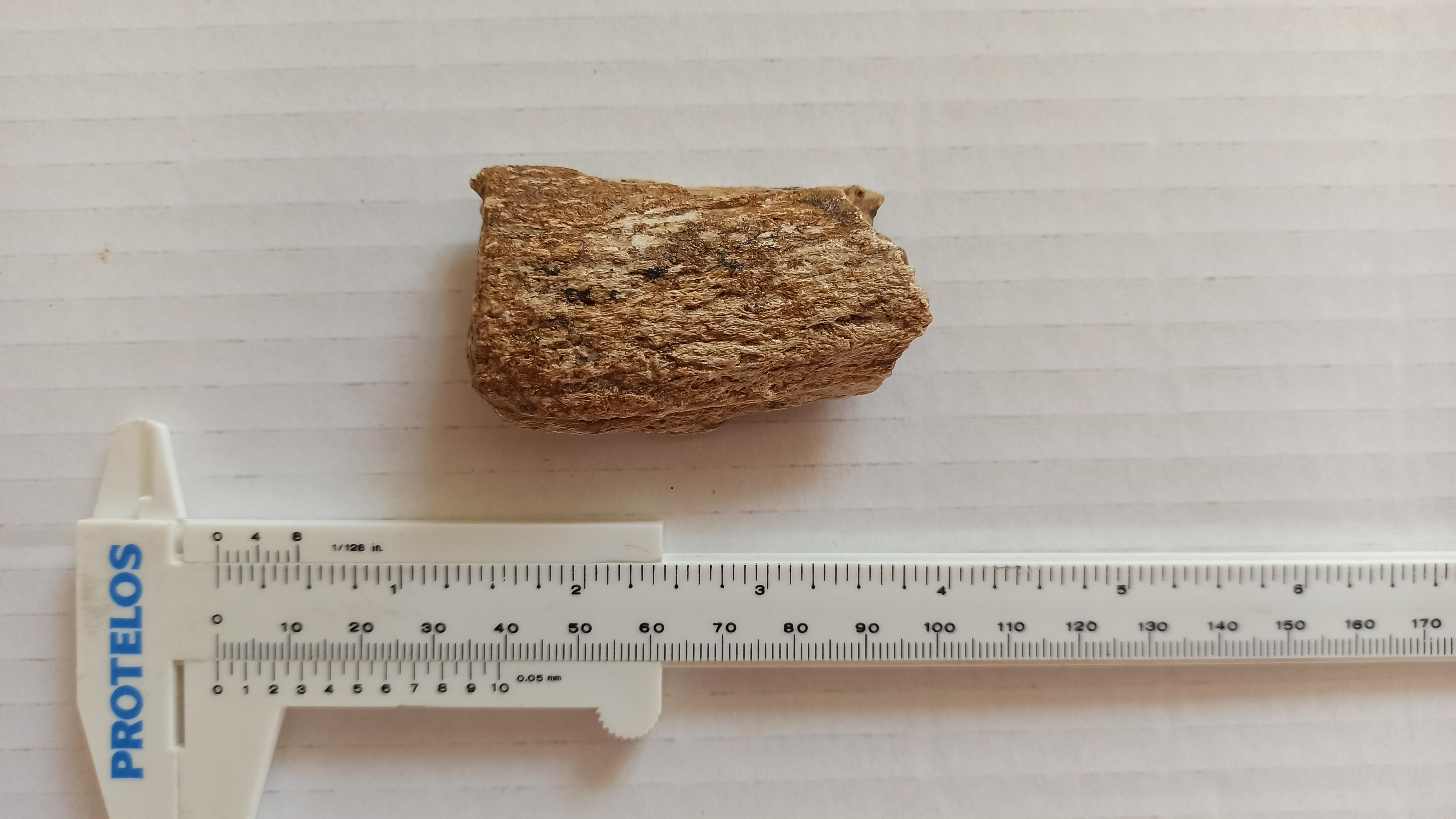 SINGOLO OGGETTO, PERIODIZZAZIONI/ PREISTORIA