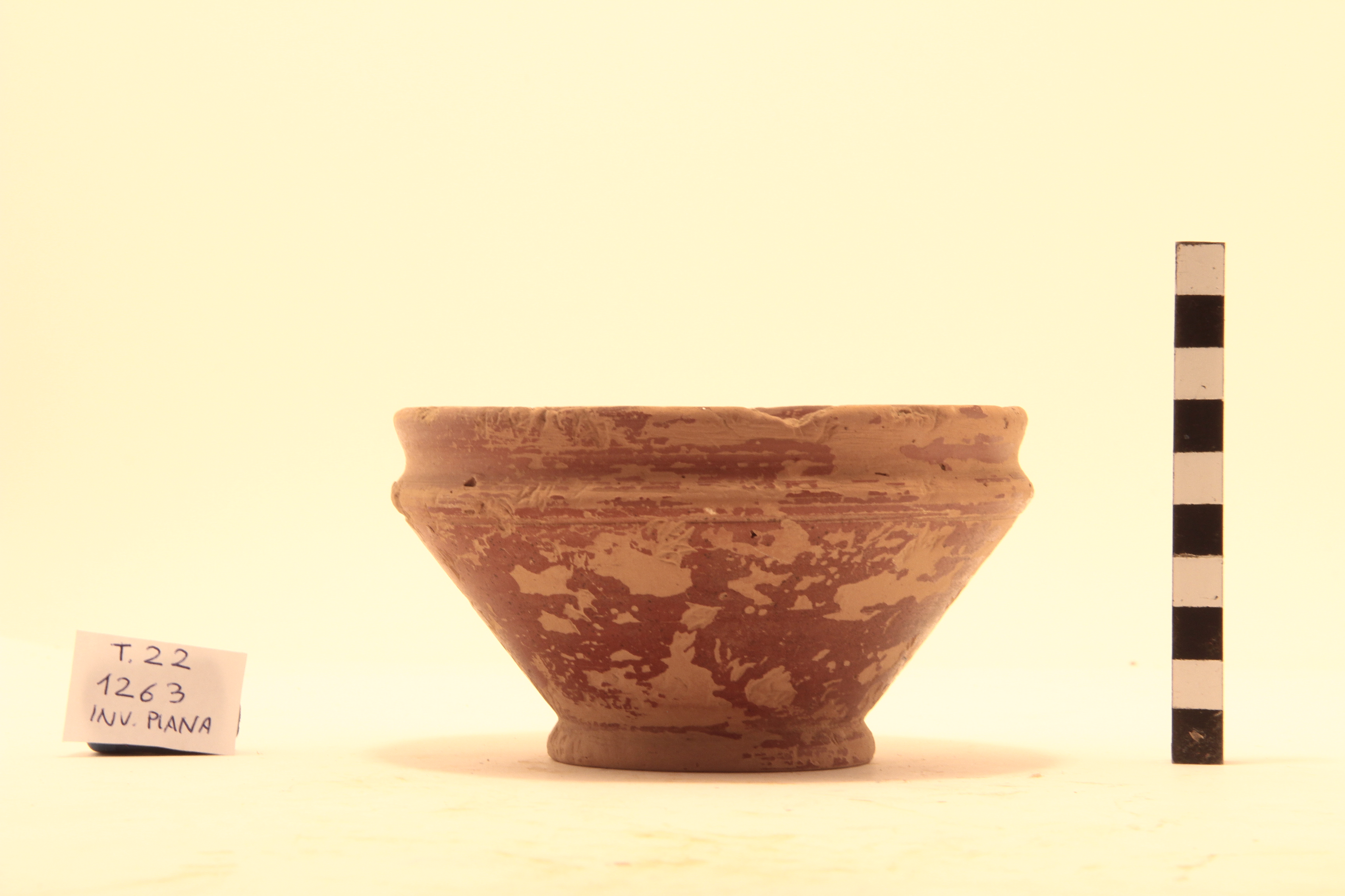 Coppetta, Conspectus 22 (prima metà Sec. I d.C)