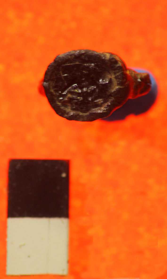 Anello (digitale) (prima metà Sec. I d.C)