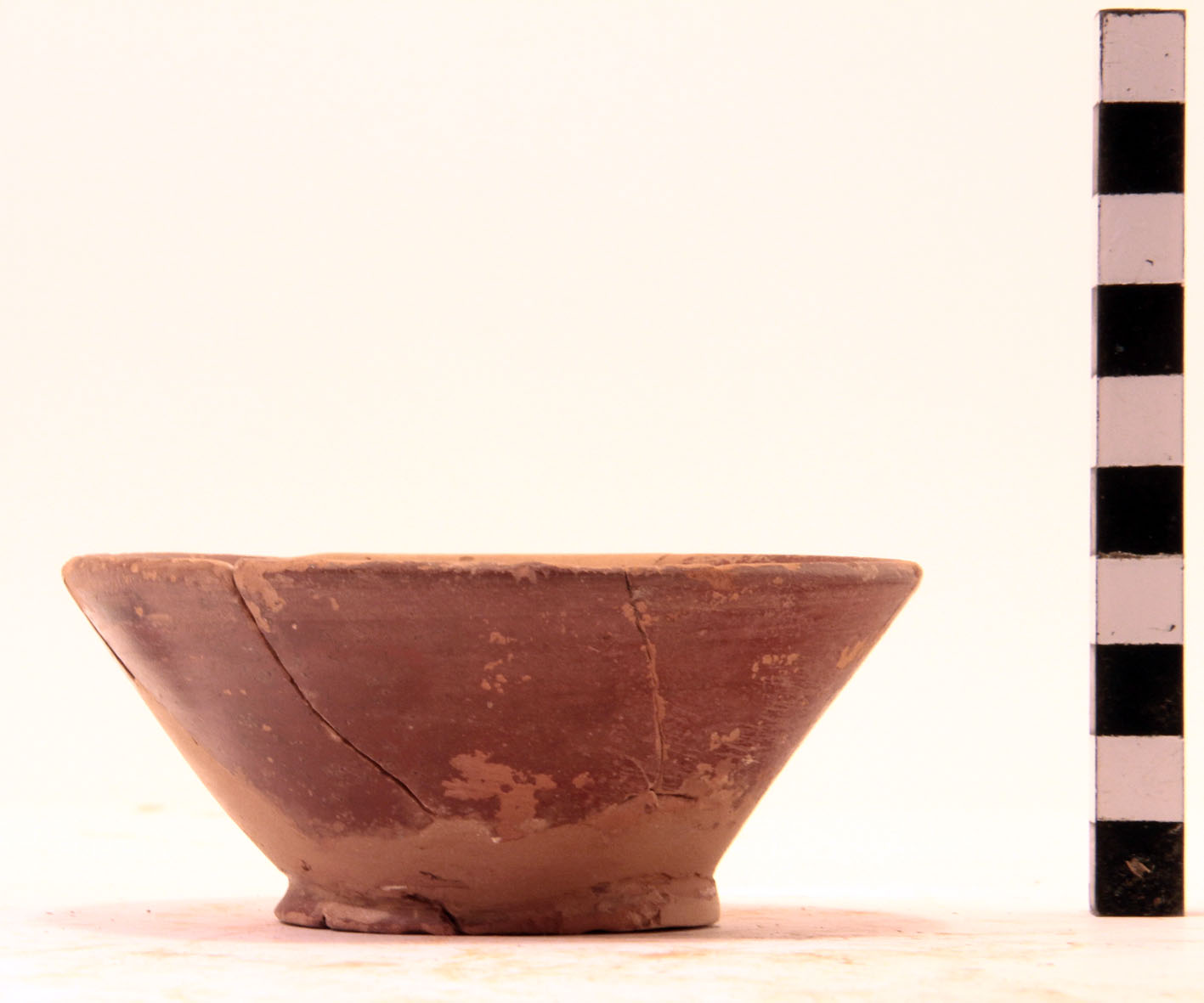 Coppetta, Conspectus 7 (prima metà Sec. I d.C)