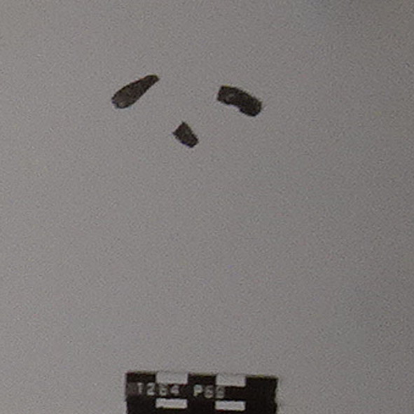 Placchetta/ frammenti (prima metà Sec. I d.C)