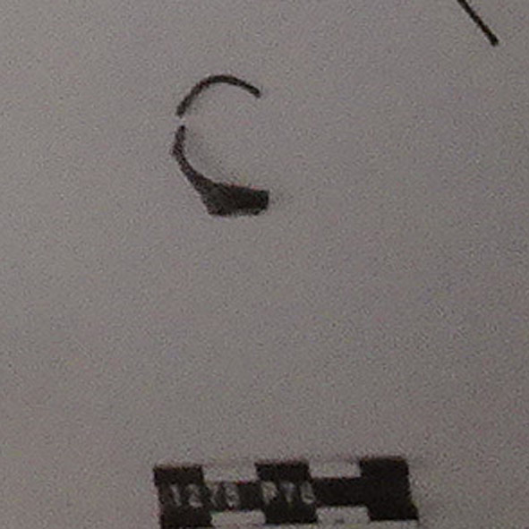 Anello (digitale) (prima metà Sec. I d.C)