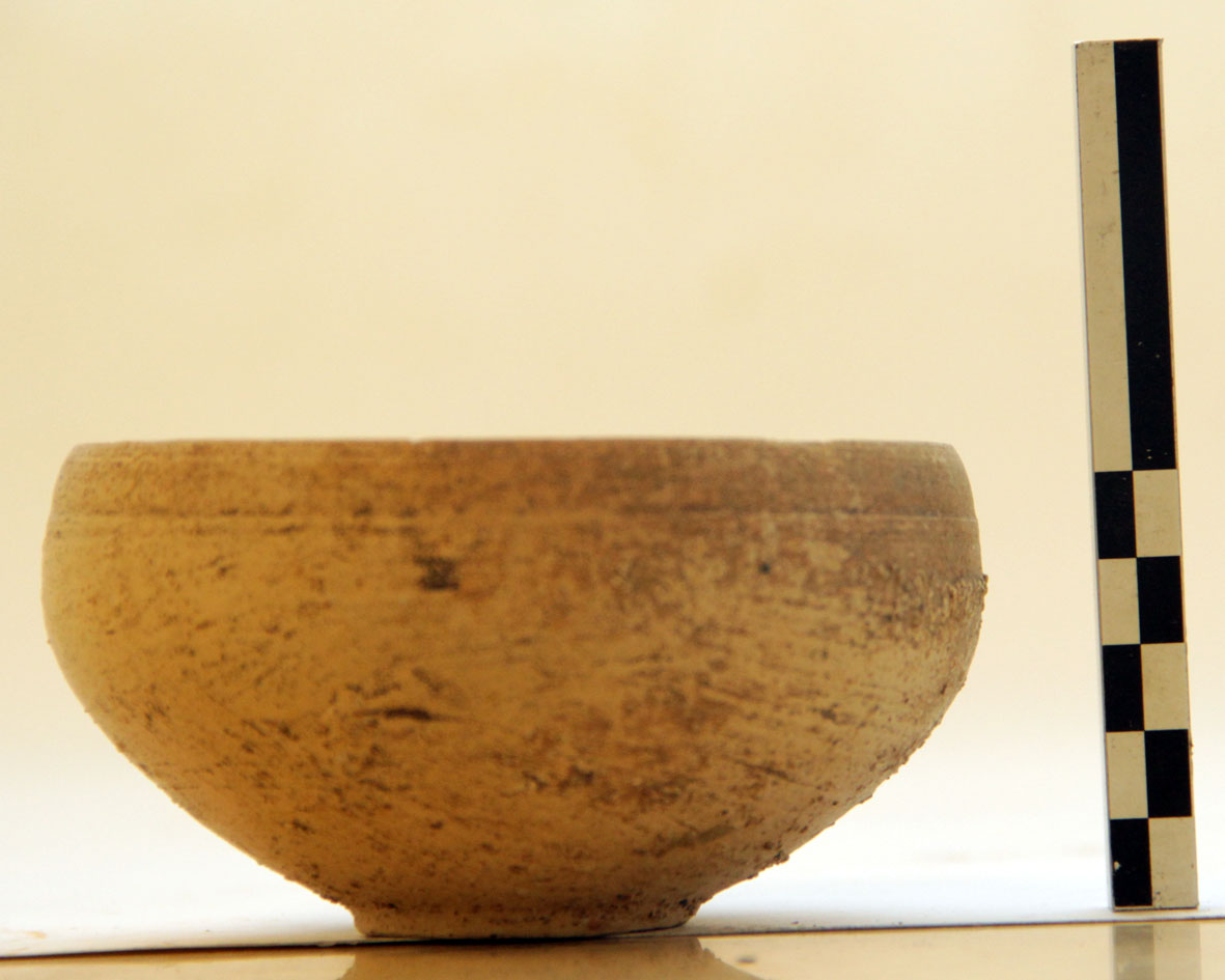 Coppetta, Marabini XXXVI (prima metà Sec. I d.C)