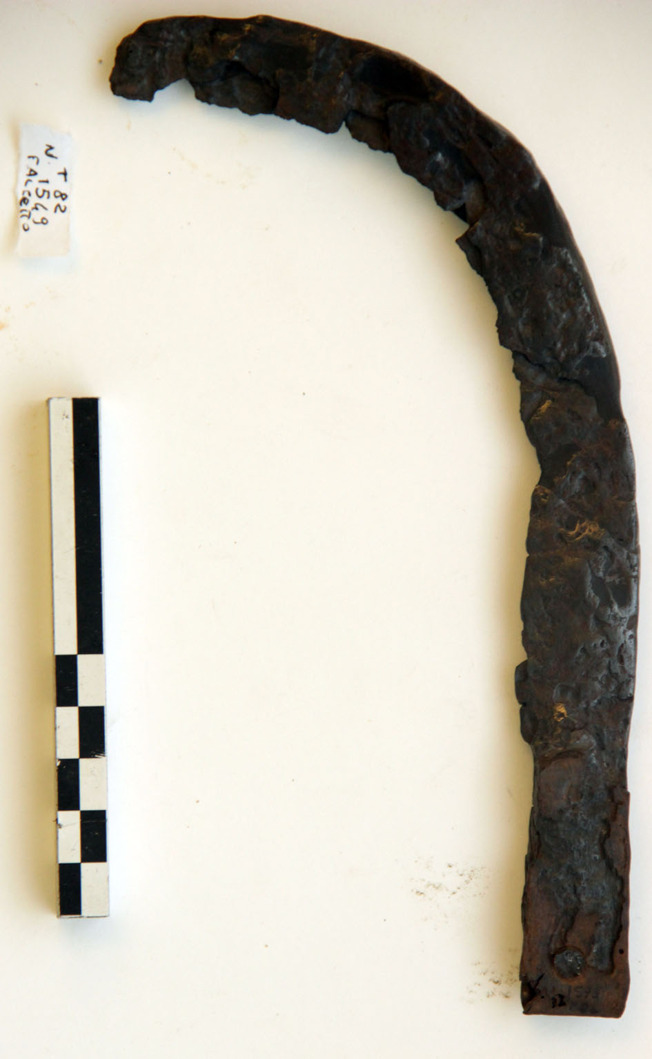 Falcetto (prima metà Sec. I d.C)