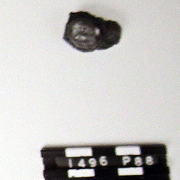 Anello (digitale)/ frammento (prima metà Sec. I d.C)