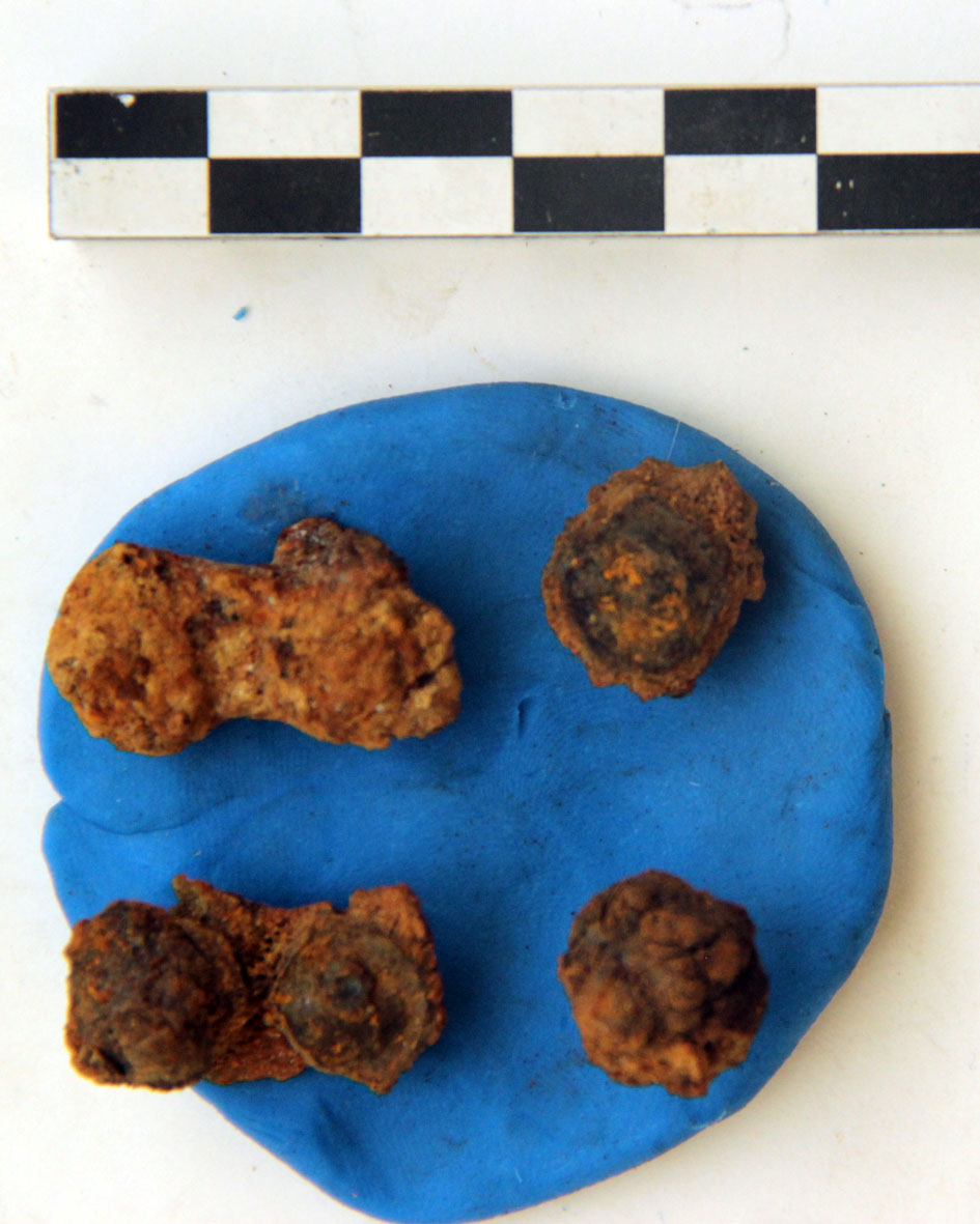 Suola chiodata/ frammenti (prima metà Sec. I d.C)