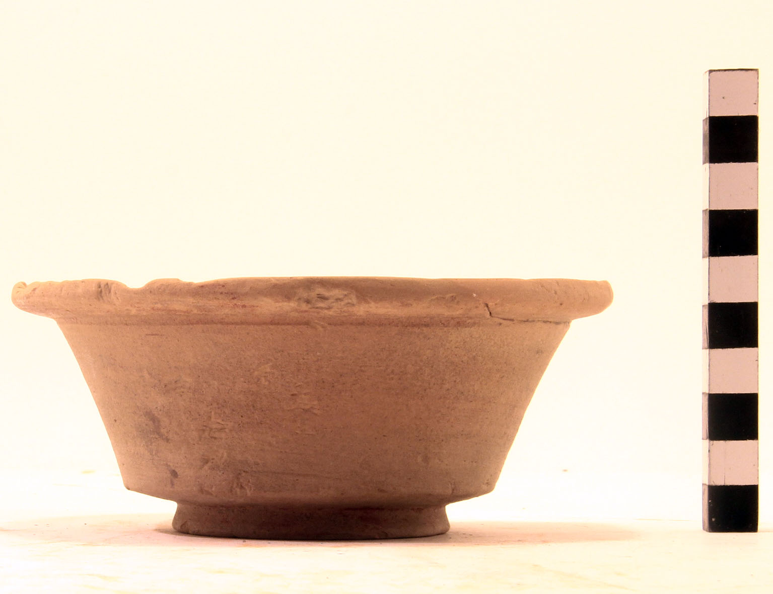 Coppetta, Conspectus 13 (prima metà Sec. I d.C)