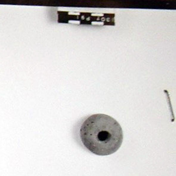 Fusaiola (prima metà Sec. I d.C)