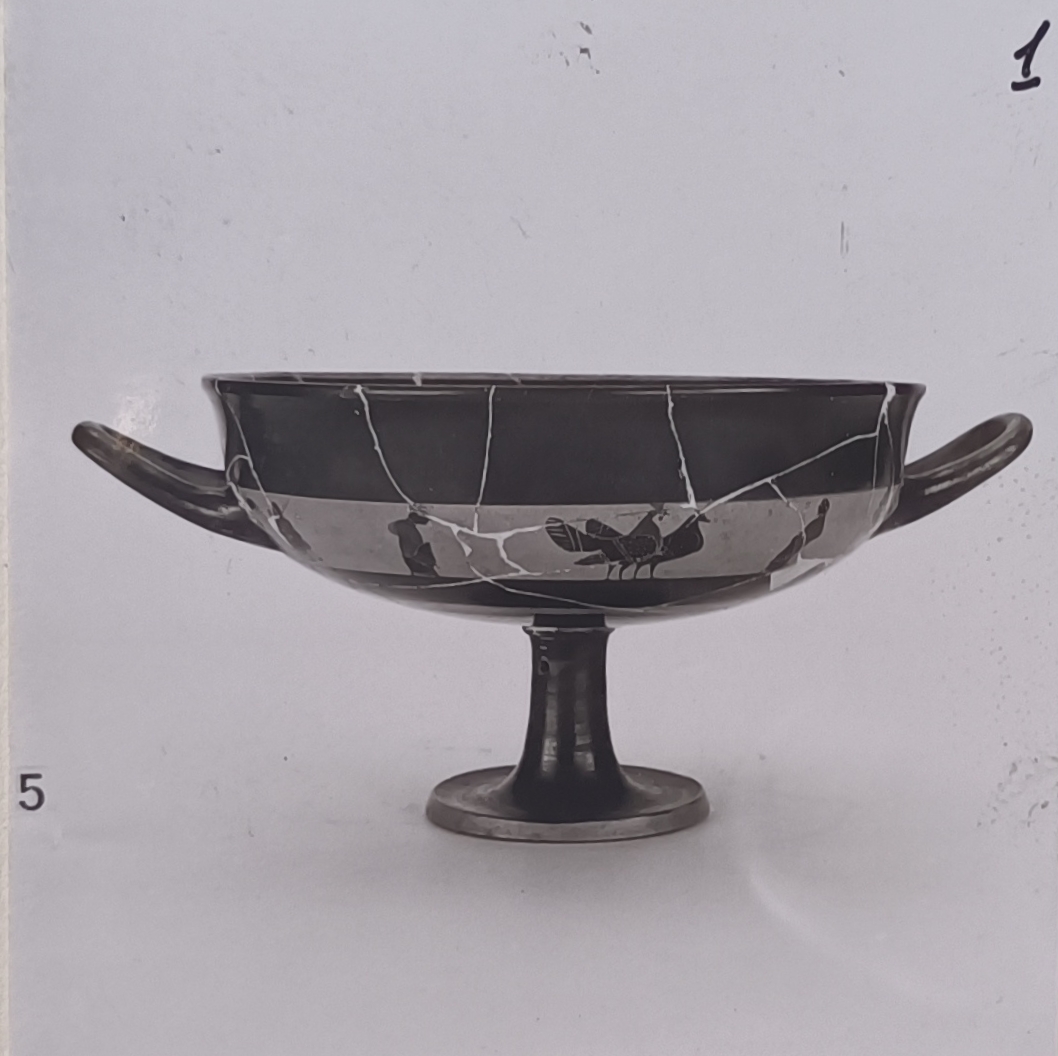 kylix, band-cup di Cerchia dei "miniaturistici" (terzo quarto SECOLI/ VI a.C)