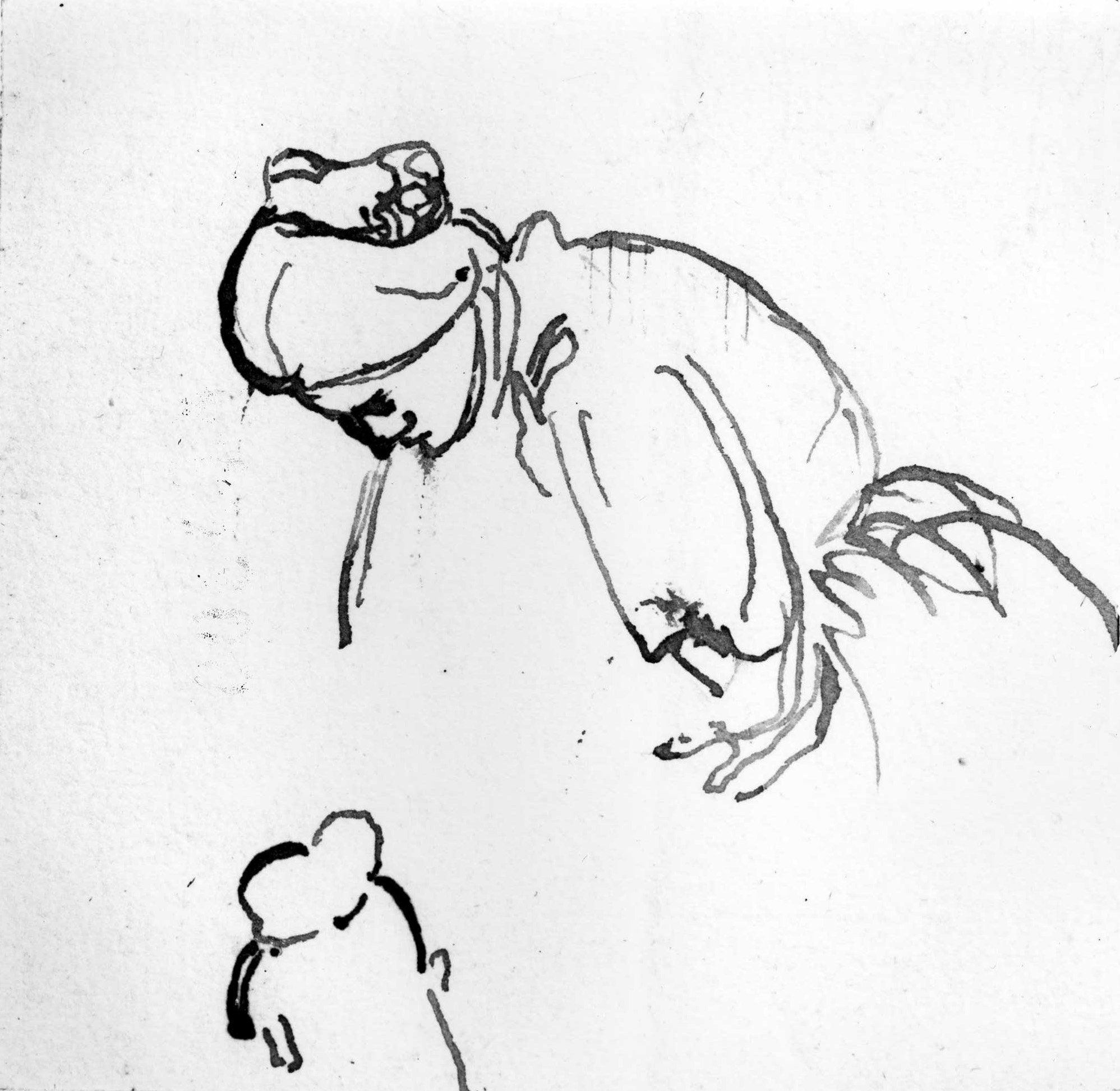 ritratto di donna (disegno) di DuprÃ¨ Giovanni (sec. XIX)